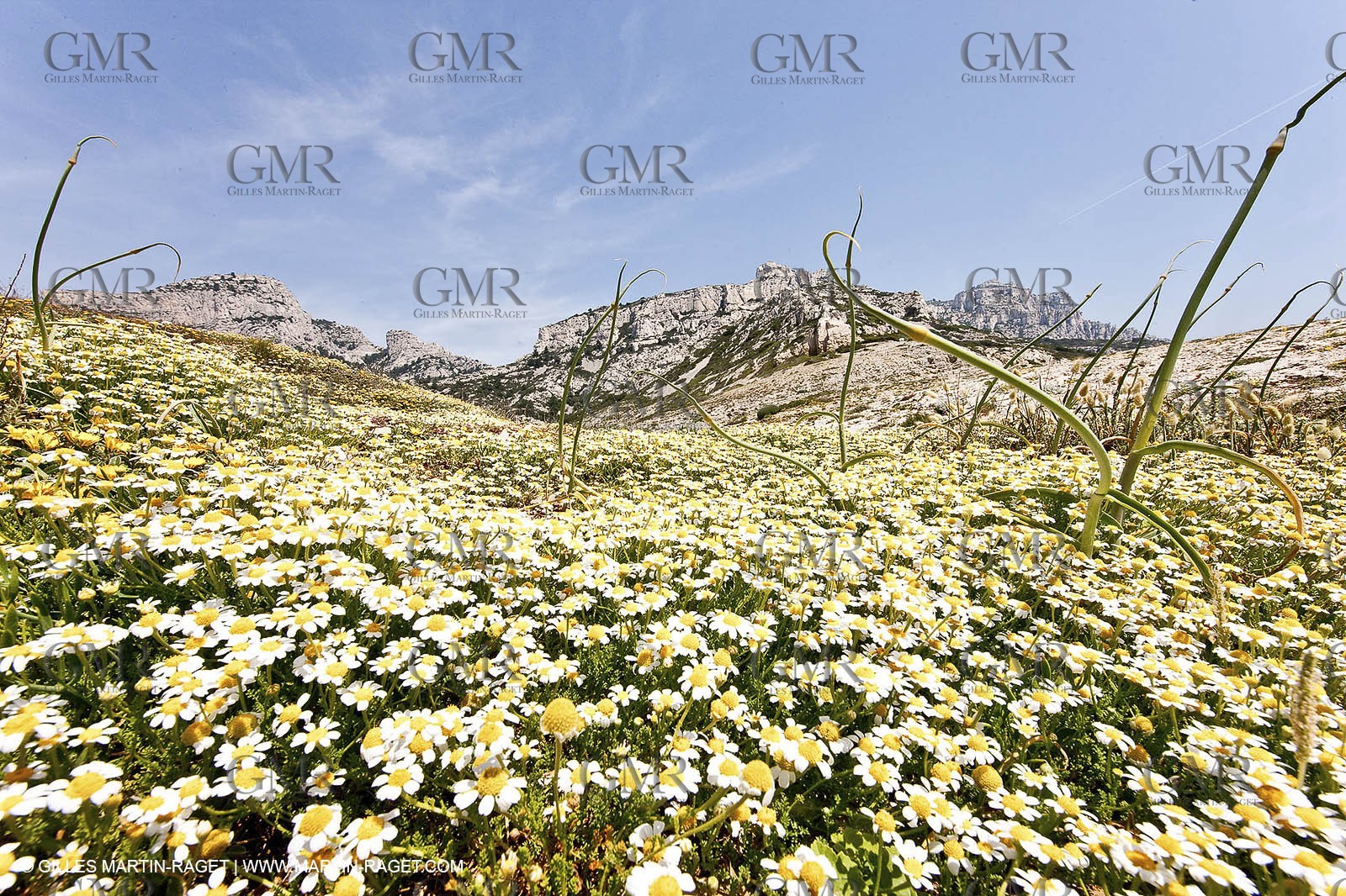 20 05 2009 - Marseille (FRA, 13) - Les Calanques - Calanque de Marseilleveyre