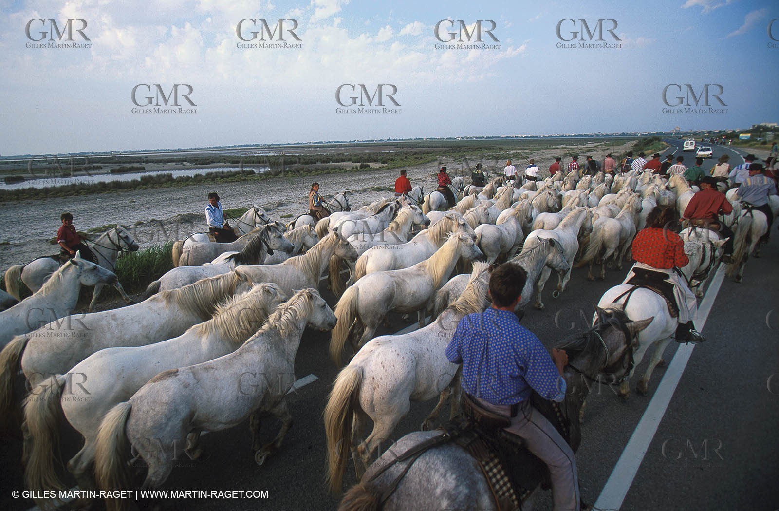 Arles - Camargue gardians (cow boys) at work