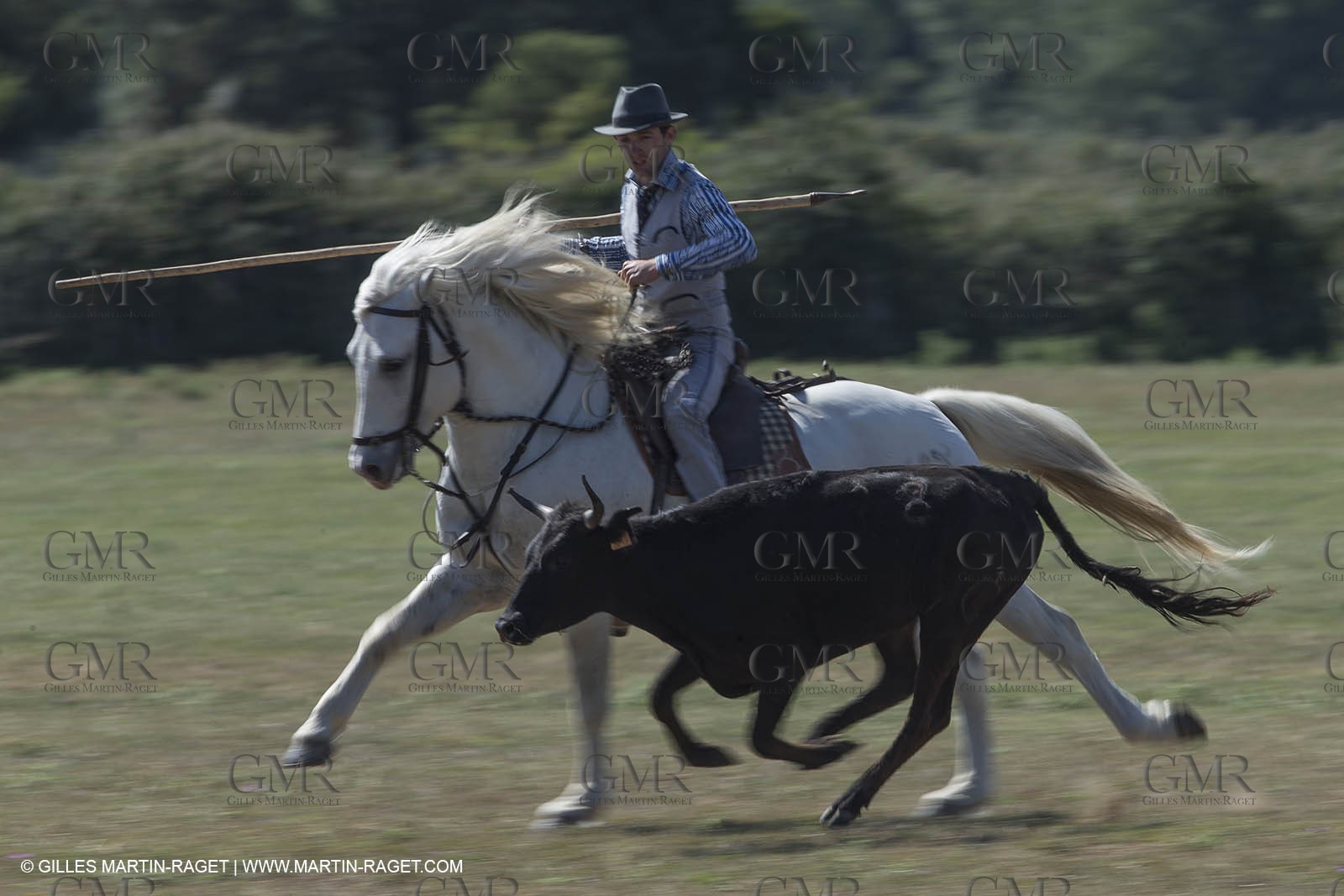 Course de Satin 2014 - Arles (FRA,13) - 1 06 2014**The satin race - Arles (FRA,13) - 01 06 2014