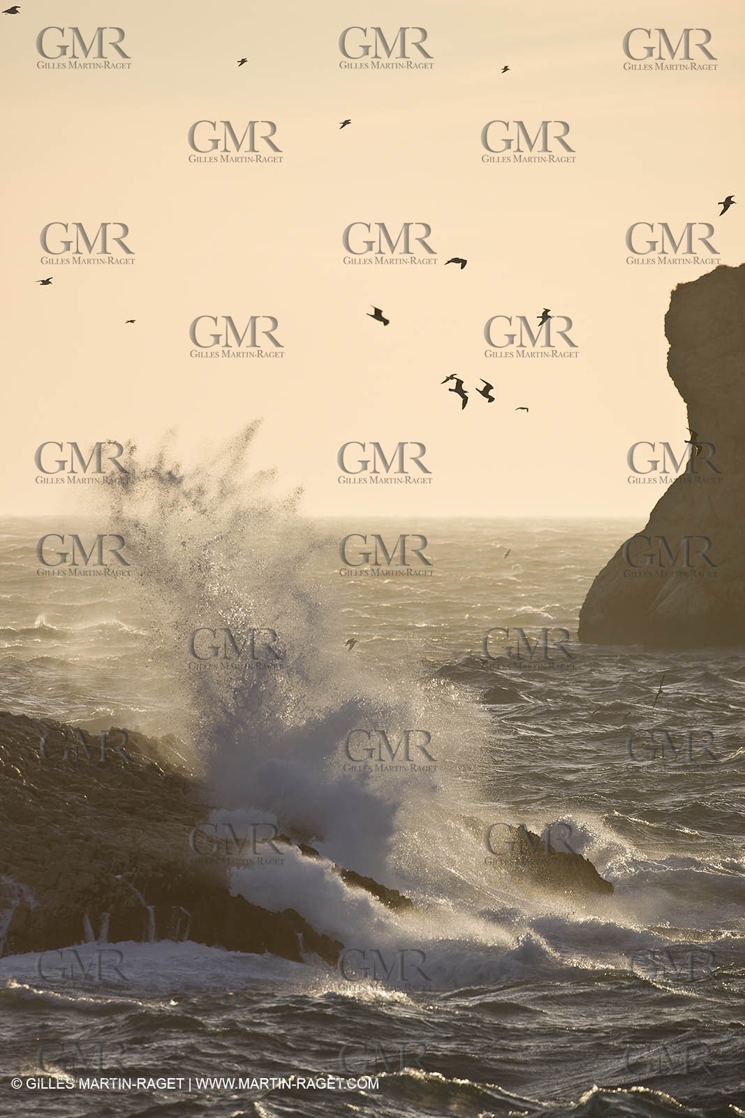 11 03 2009 - Marseille (FRA, 13) - Calanques - Marseilleveyre area