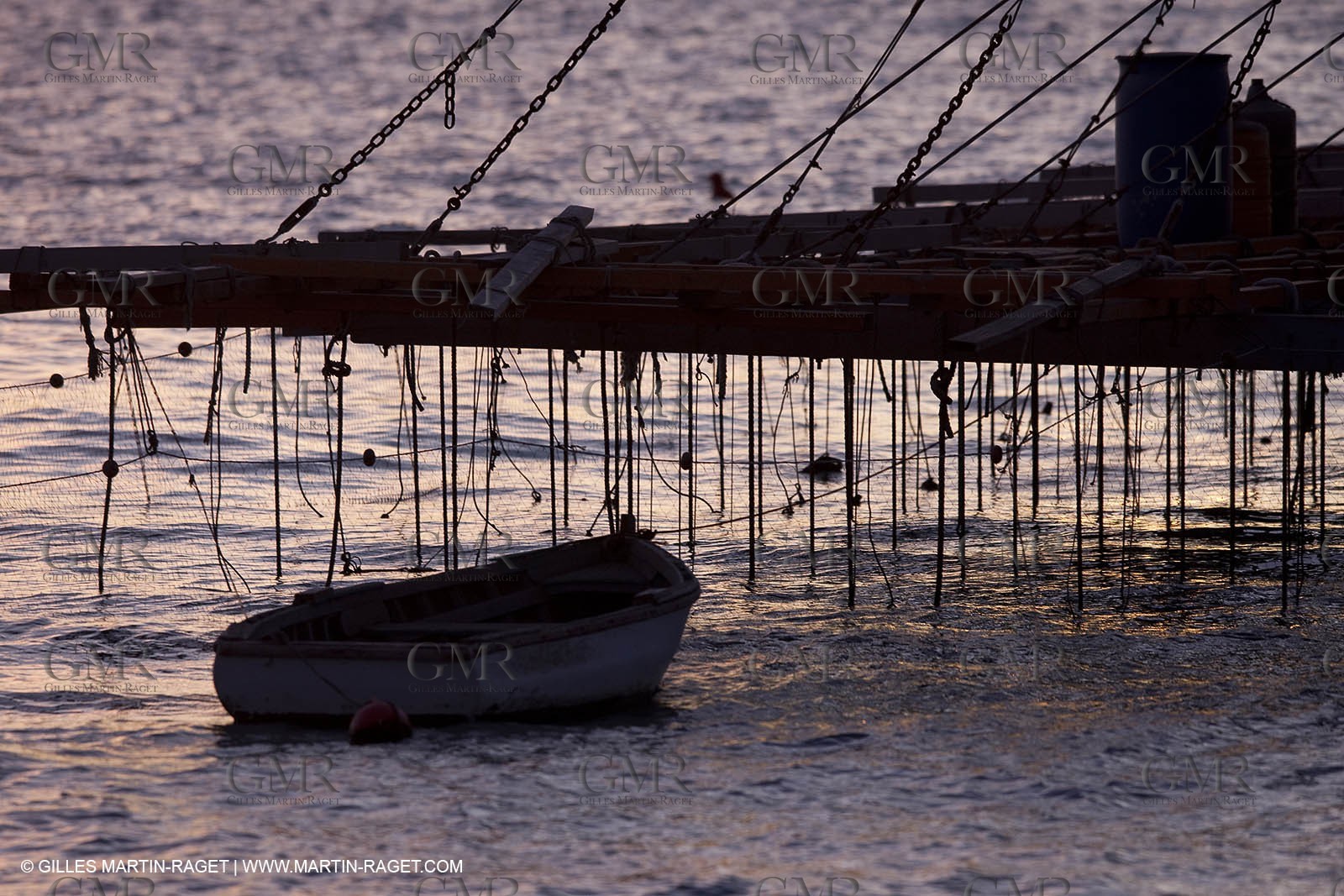 27 01 2010 - Valencia (ESP) - 33rd America's Cup - BMW ORACLE Racing - Training in Valencia