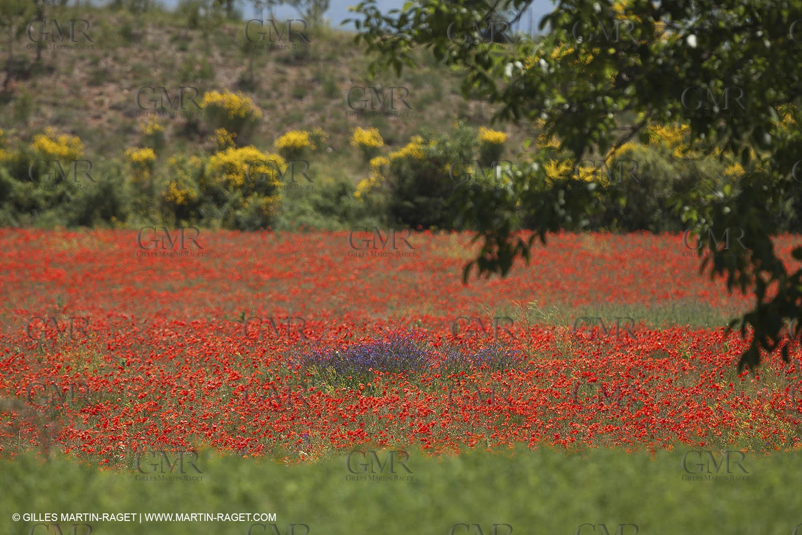 09 06 2012 - Pays d'Aix en Provence (FRA,13)