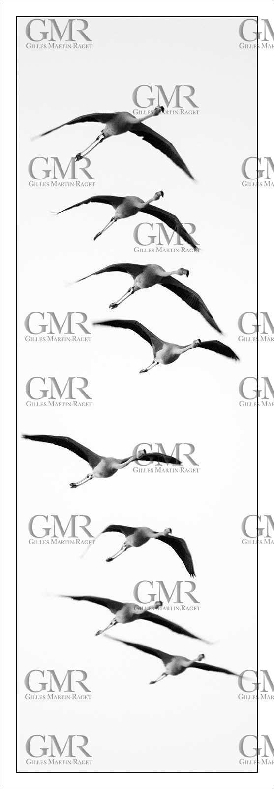 Product: in house made quality print on 8 ultrachome colors Epson ink Jet printer.Available sizes: . 50 x 100 cm. 100 x 200 cmAvailable papers: . Standard 250 gr glossy paper print, black streak, white margin, no signature. Top quality glossy 290 gr. paper, black streak, white margin, checked and signed by the author. Fine Art print (signed, numbered, stamped, registered) on demand. Other supports (Canvas, Acrylic, Metal) on demandPackaging: cylindric reinforced tubeShipping options: regular mail or Shipping companyClick on the basket icon to select your options and start the online ordering process