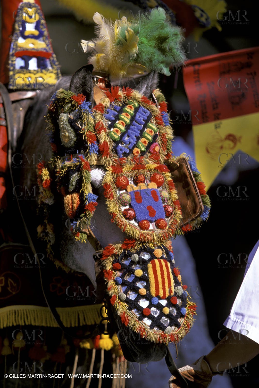 Careto ramado (Flowered chariot) traditional celebration - Saint Rémy de Provence