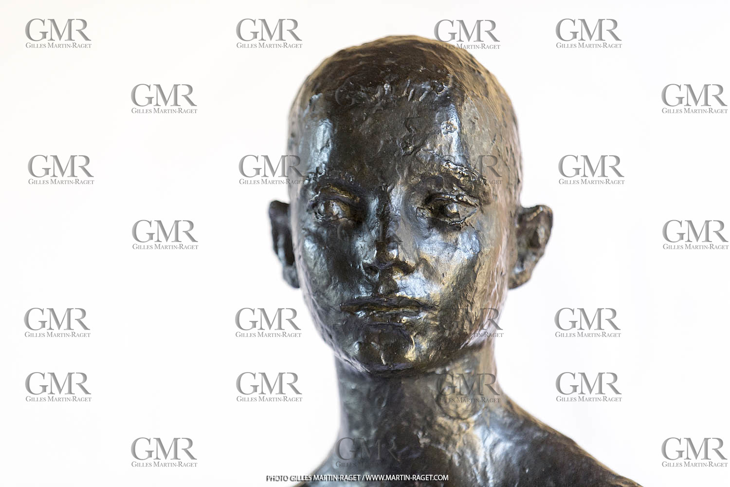 06 03 2016, Saint-Etienne du Grès (FRA,13), Oeuvre de Germaine Richier, Loretto I 1934, Bronze patiné foncé, Numéroté 4 6, fondeur Susse, Paris, 160 x 52 x 35 cm, Collection particulière