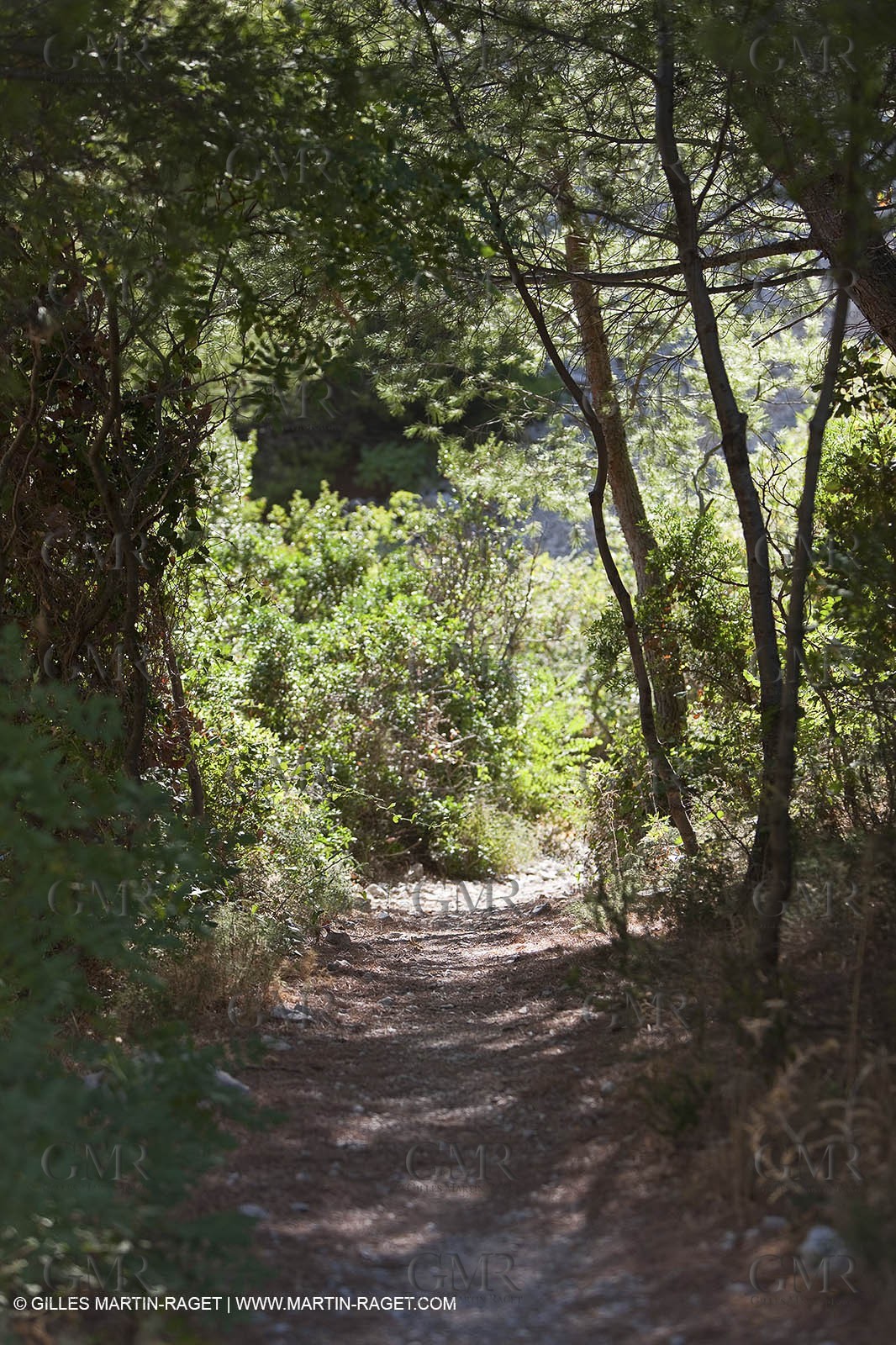 07 09 2009 - Marseille (FRA, 13) - Les Calanques - Massif de Marseilleveyre - Grand Malvallon