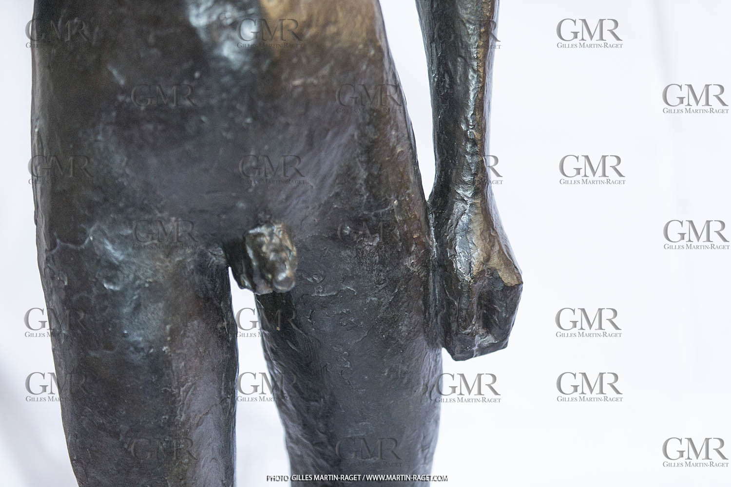 06 03 2016, Saint-Etienne du Grès (FRA,13), Oeuvre de Germaine Richier, Loretto I 1934, Bronze patiné foncé, Numéroté 4 6, fondeur Susse, Paris, 160 x 52 x 35 cm, Collection particulière