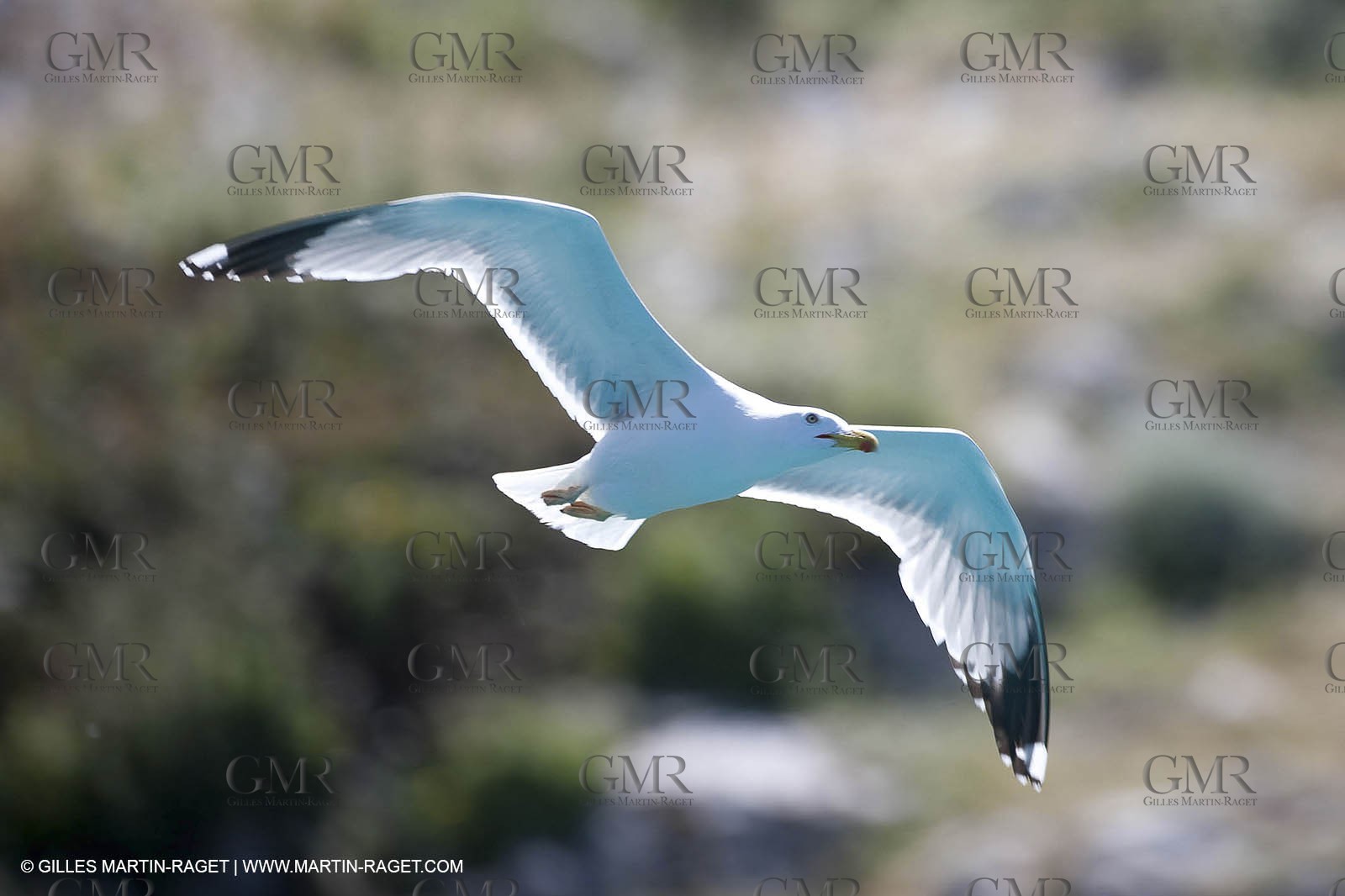 07 05 2009 - Marseille (FRA, 13) - Les Calanques - Riou