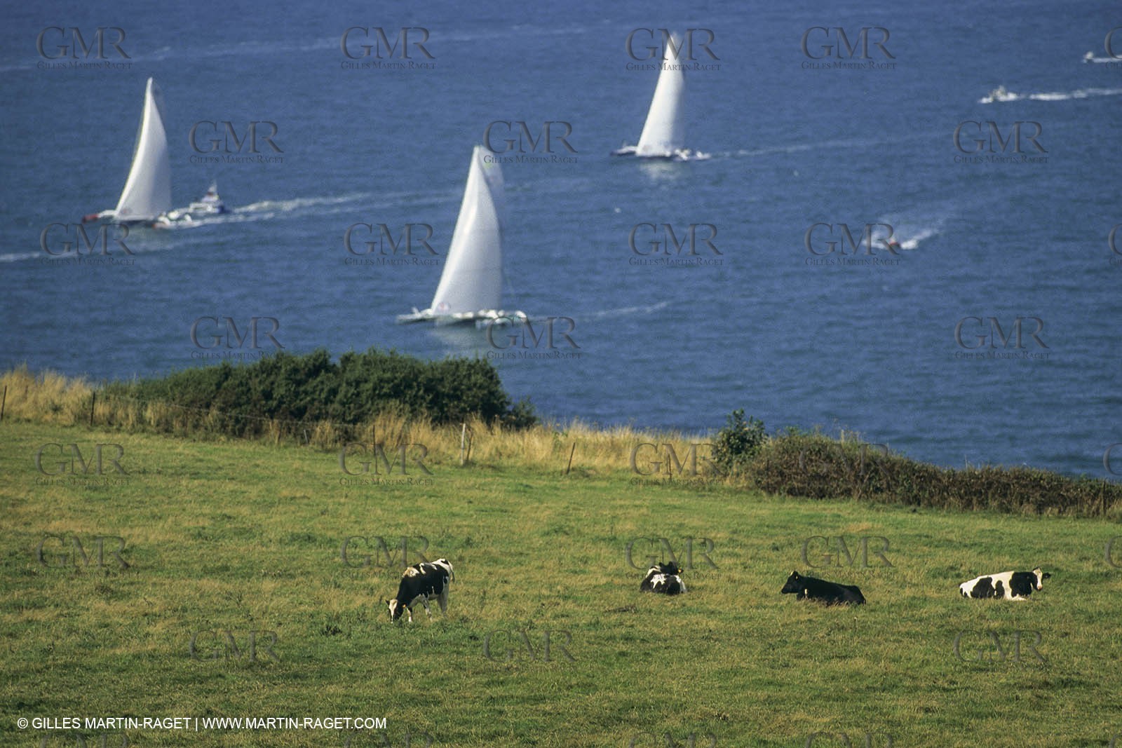 Yacht Racing, Multihull, ORMA 60