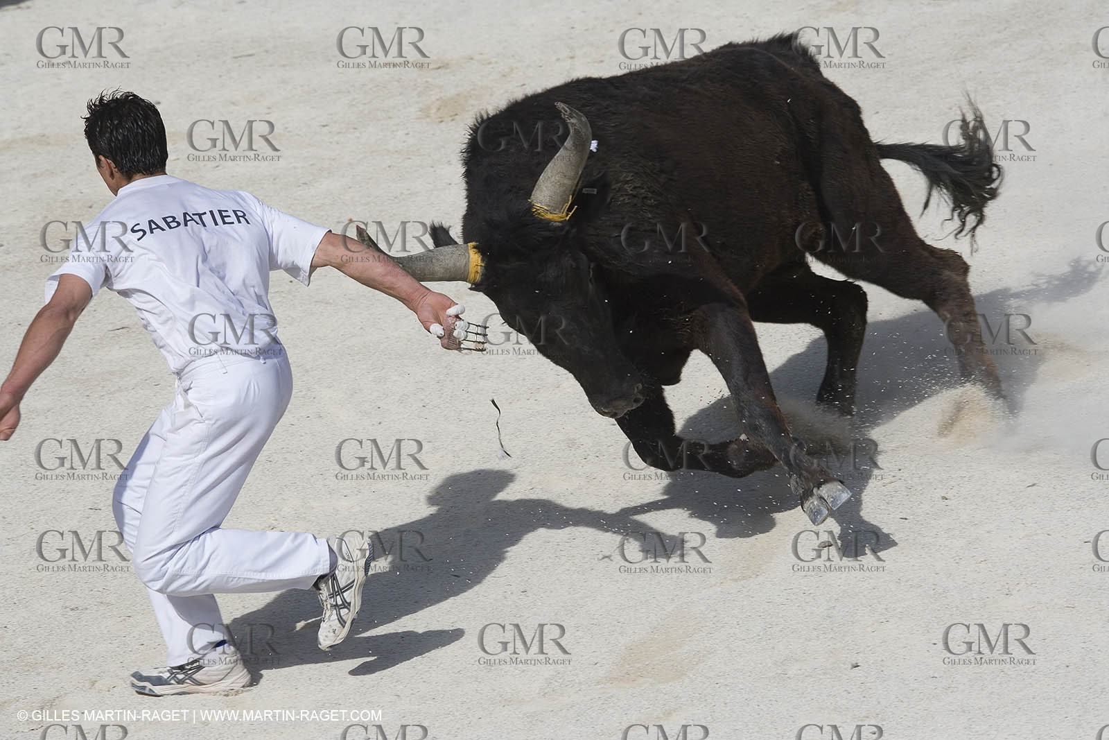 bull games