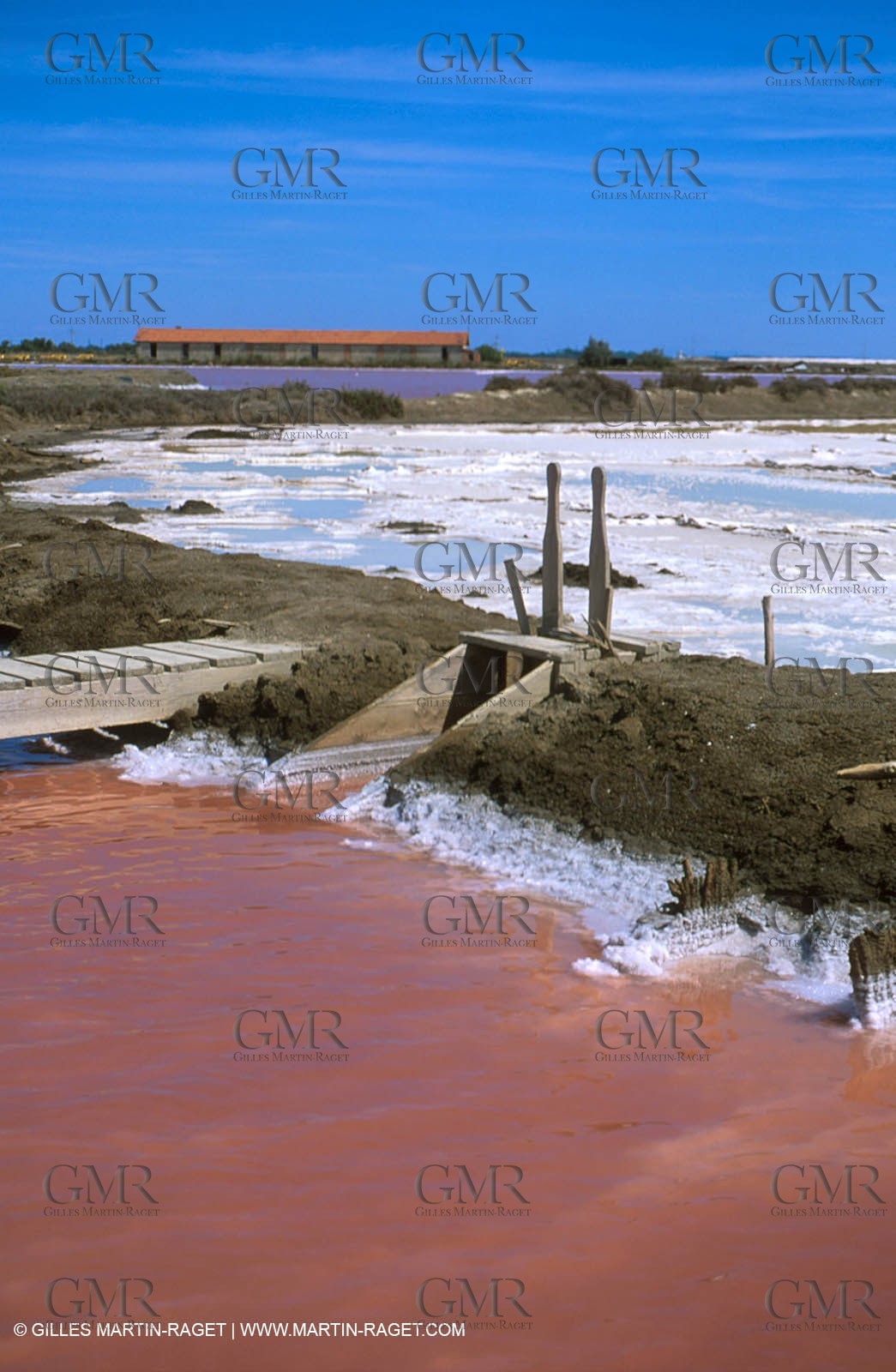 Salt-water marsh