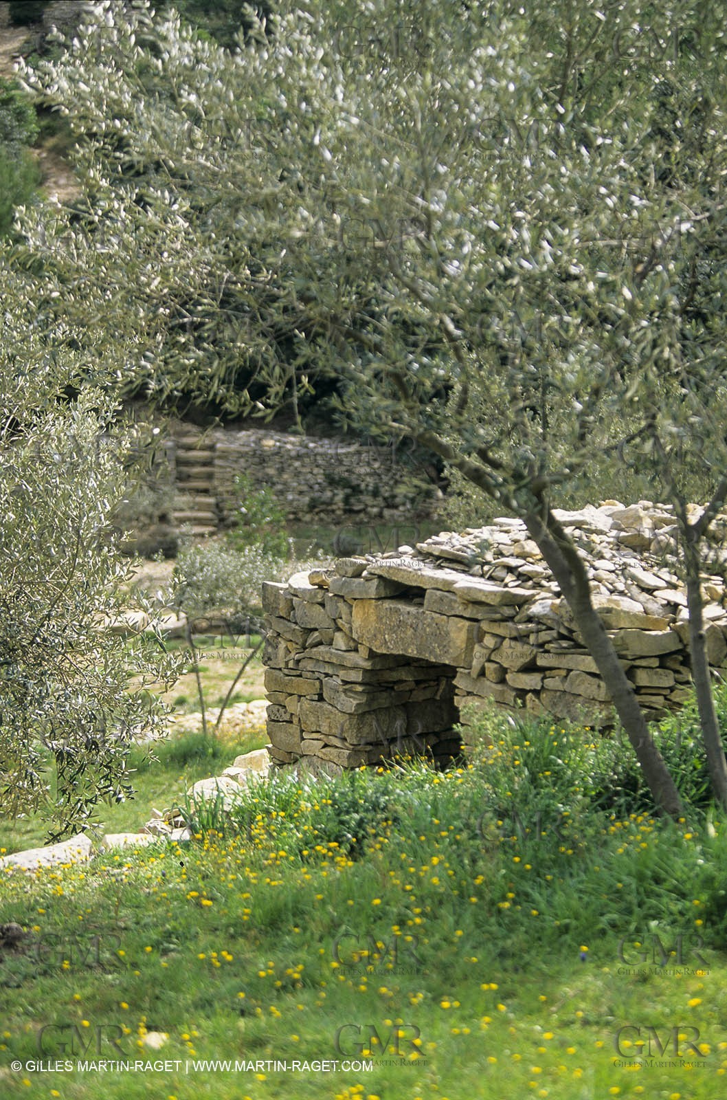 NIM0120058.jpg