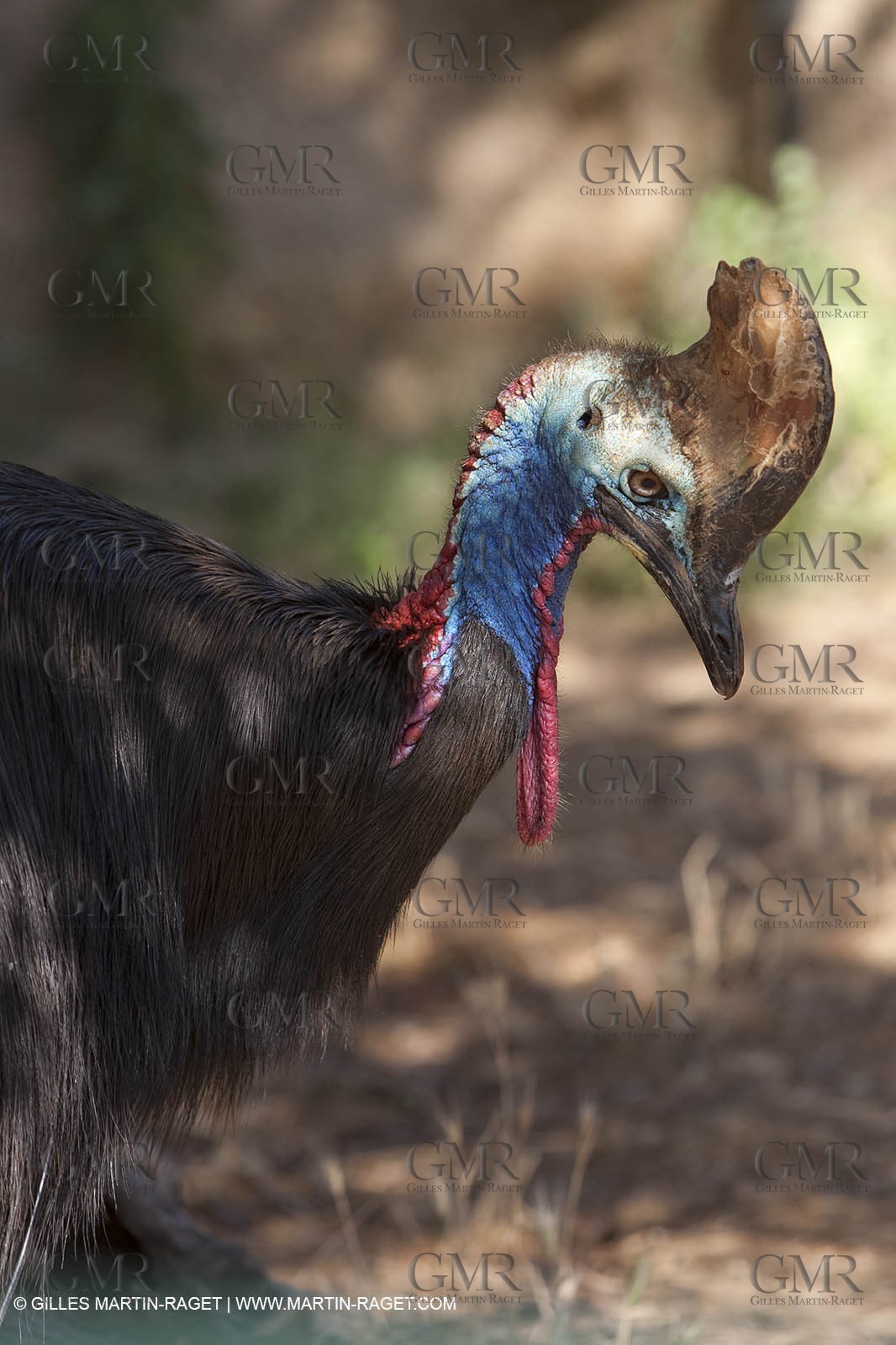 28 07 2009 - Sanary sur mer (FRA,83) - Zoo - Exotic garden