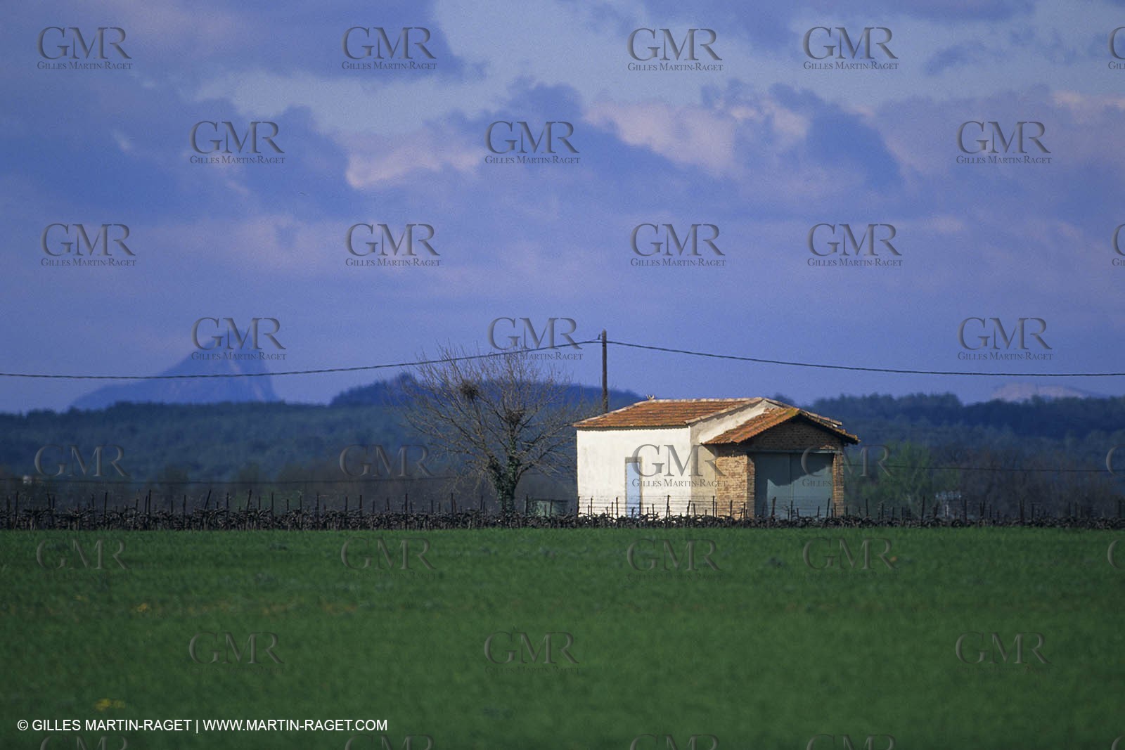 costieres0016.jpg