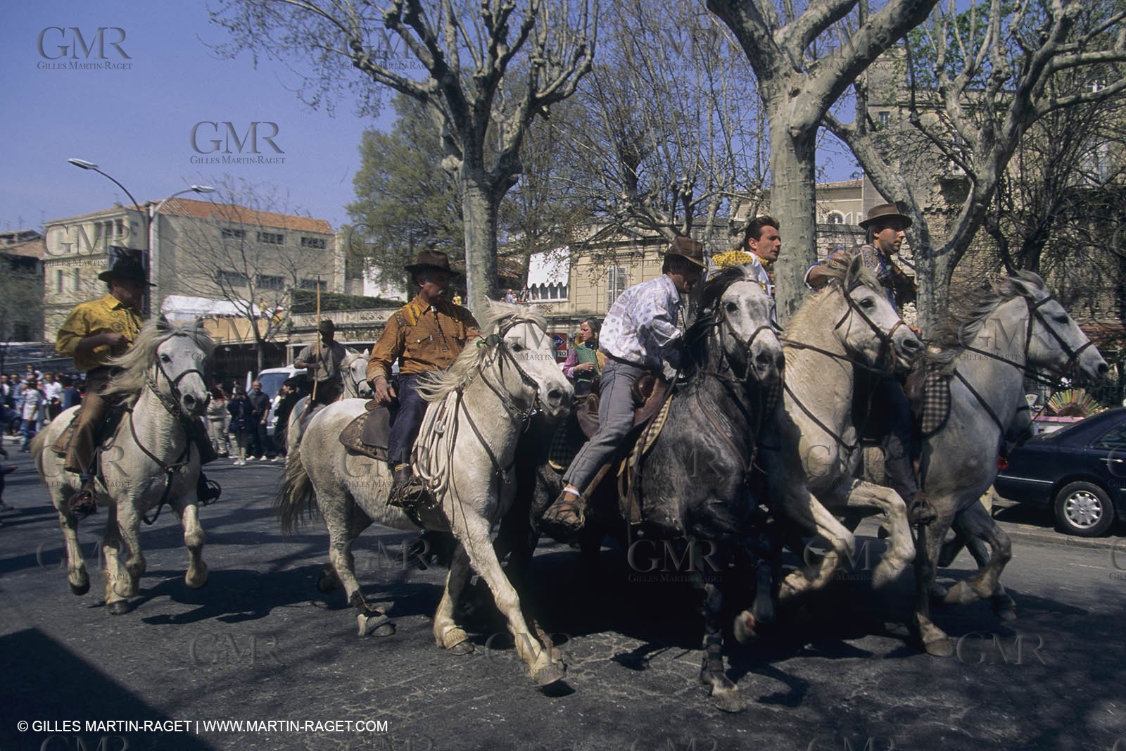 France, Provence, Moutons, bergers, élevage, transhumance