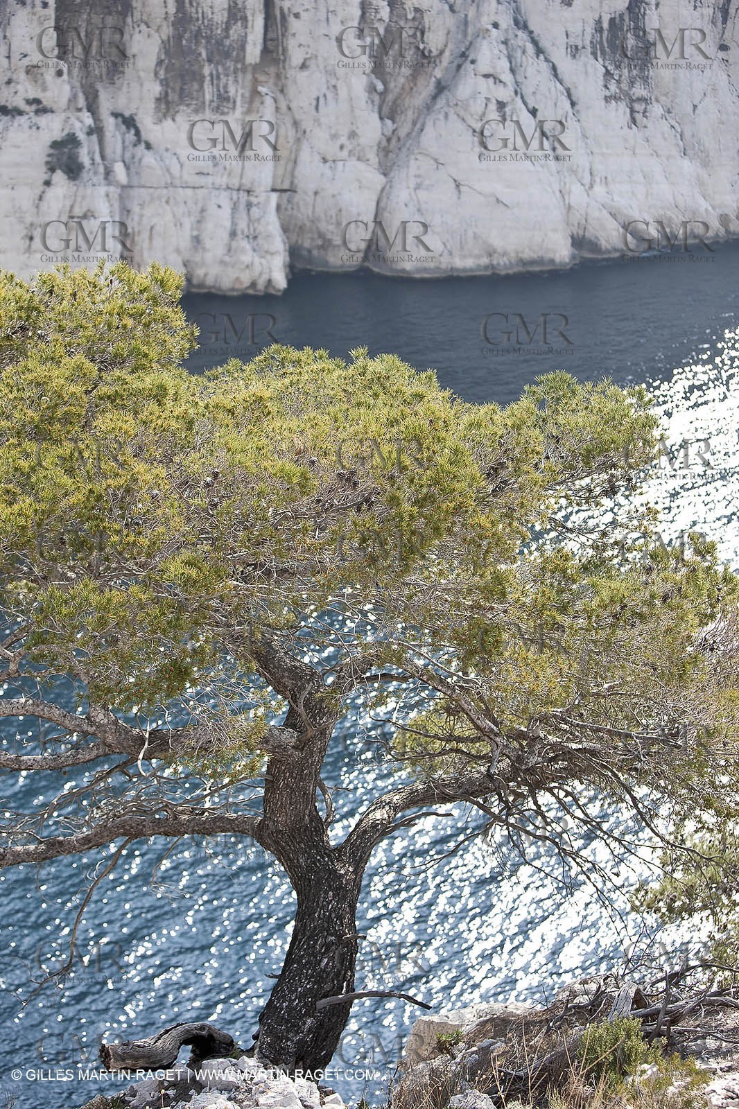 20 03 2009 - Marseille (FRA, 13) - Les Calanques - Calanque de l'Oule