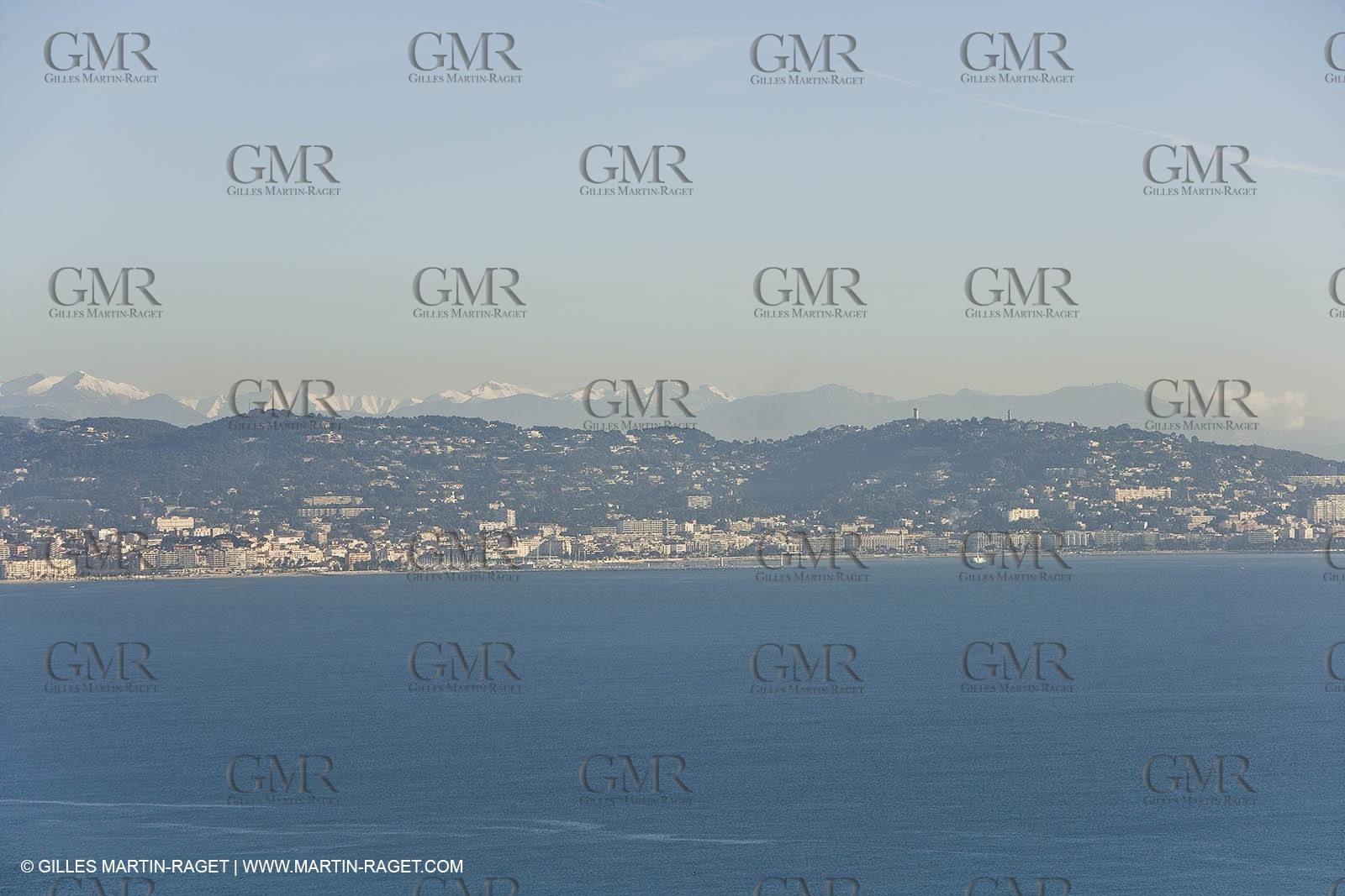 06 02 2008 - Théoule sur mer (FRA, 06) - Mimoses in full flower