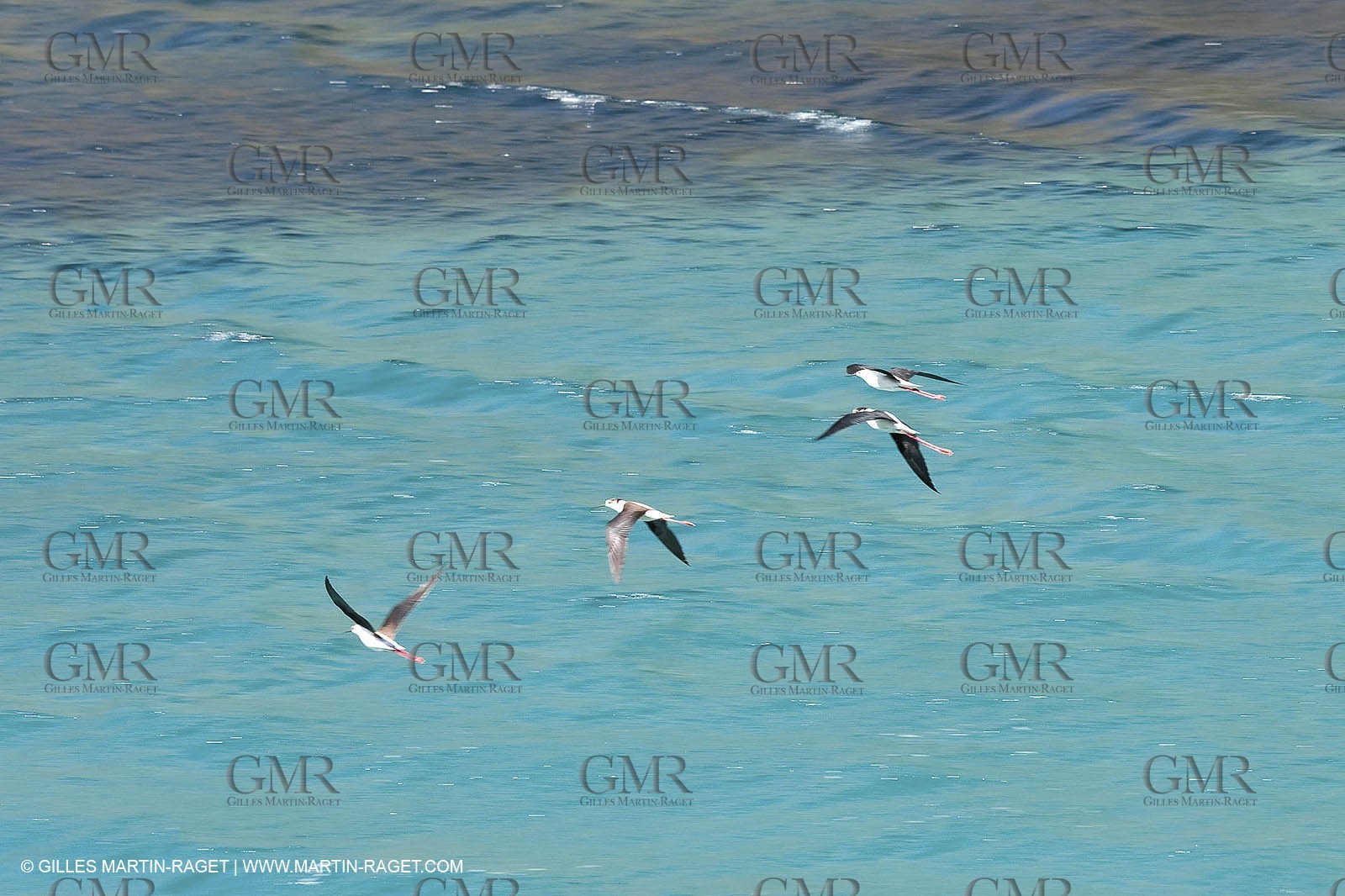 27 05 2009 - Marseille (FRA, 13) - Les Calanques - Sormiou