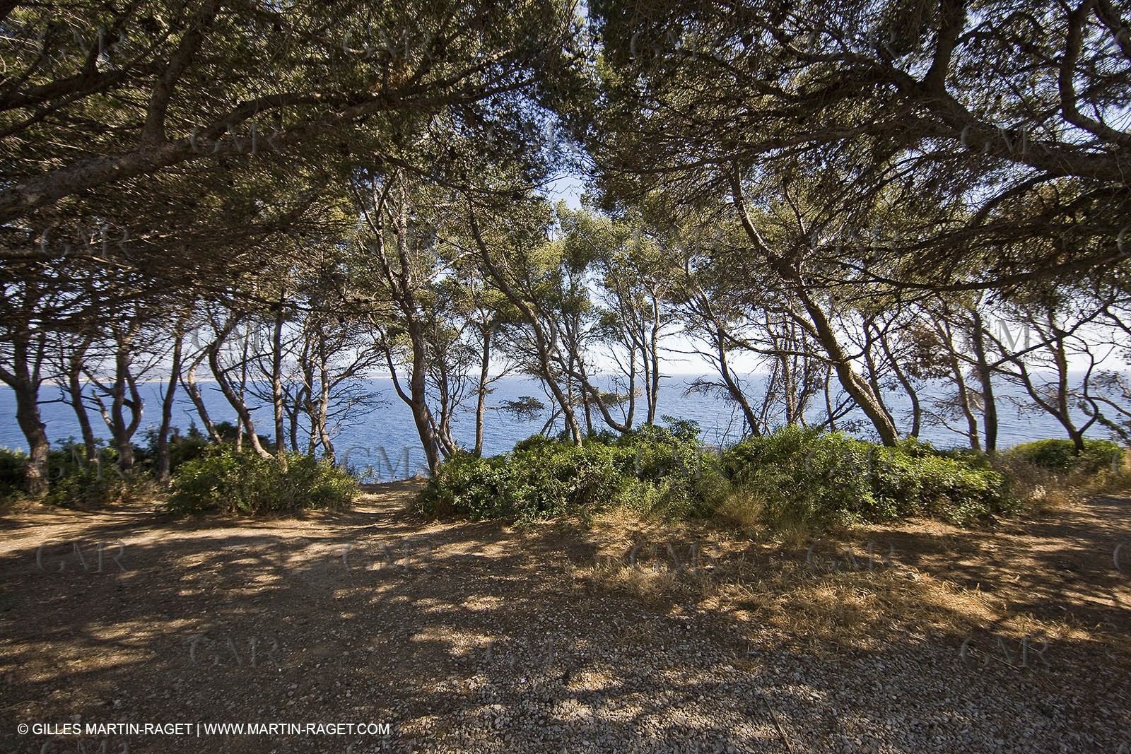 26 06 09 - Sanary sur mer (FRA,83)