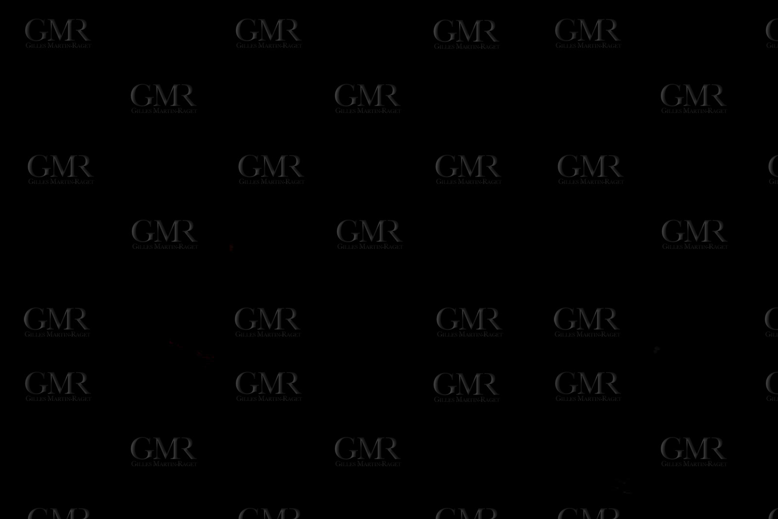 12 06 2021, Genève (SUI), Bol d'Or Mirabaud 2021