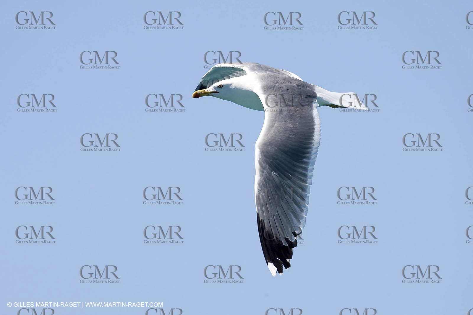07 05 2009 - Marseille (FRA, 13) - Les Calanques - Riou