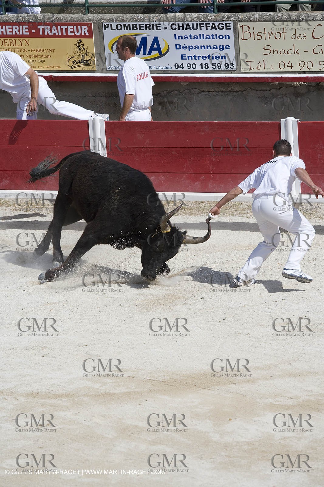 bull games