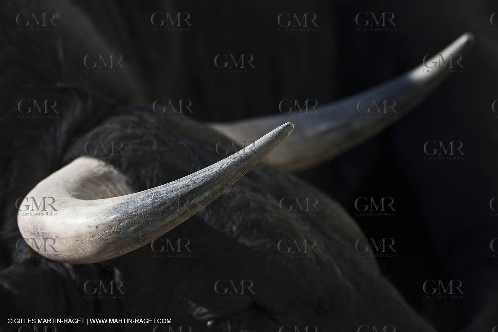 19 04 2011 - Arles (FRA,13) - Easter Feria toros