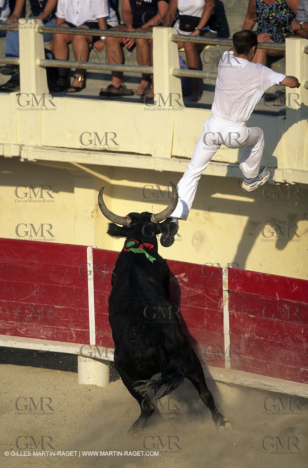 Gard, (FRA,30) - Camargue bull game