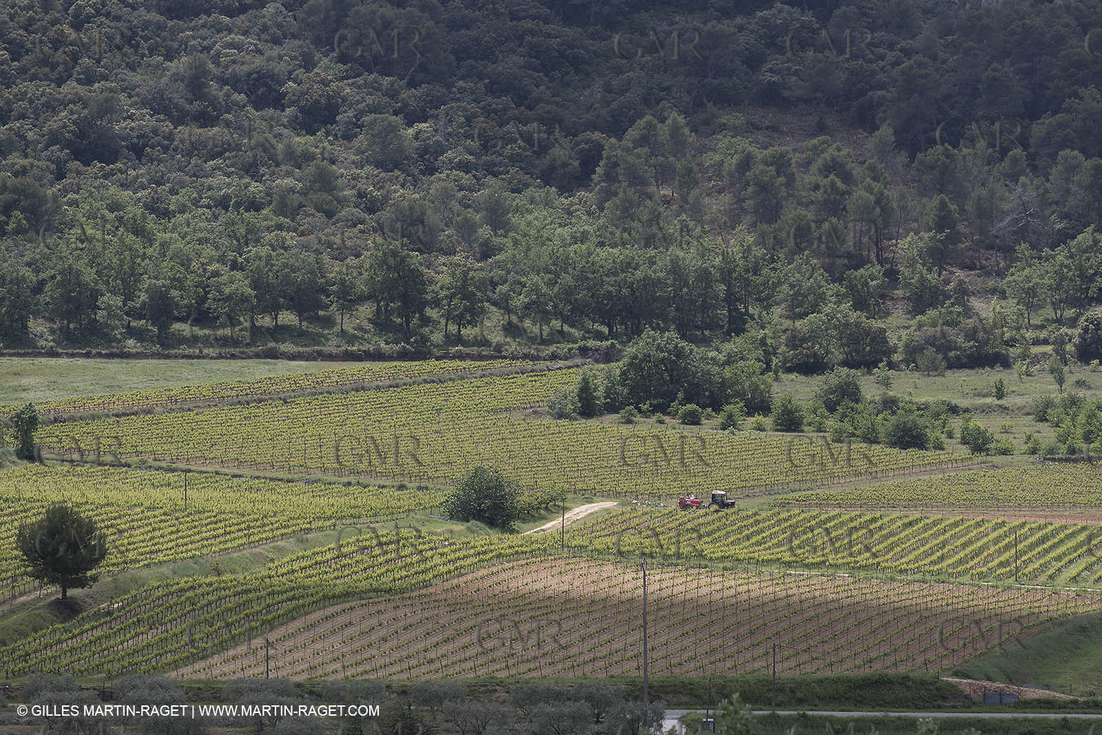 11 05 2018, Lacoste (FRA,84), Abbaye Saint-Hilaire