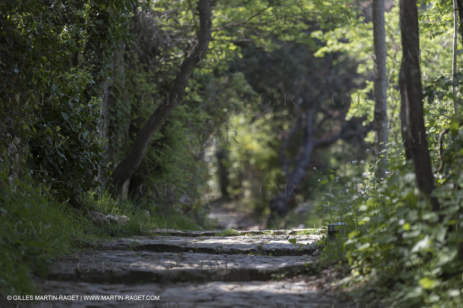 19 04 2018, Oppède Le Vieux (FRA,84)
