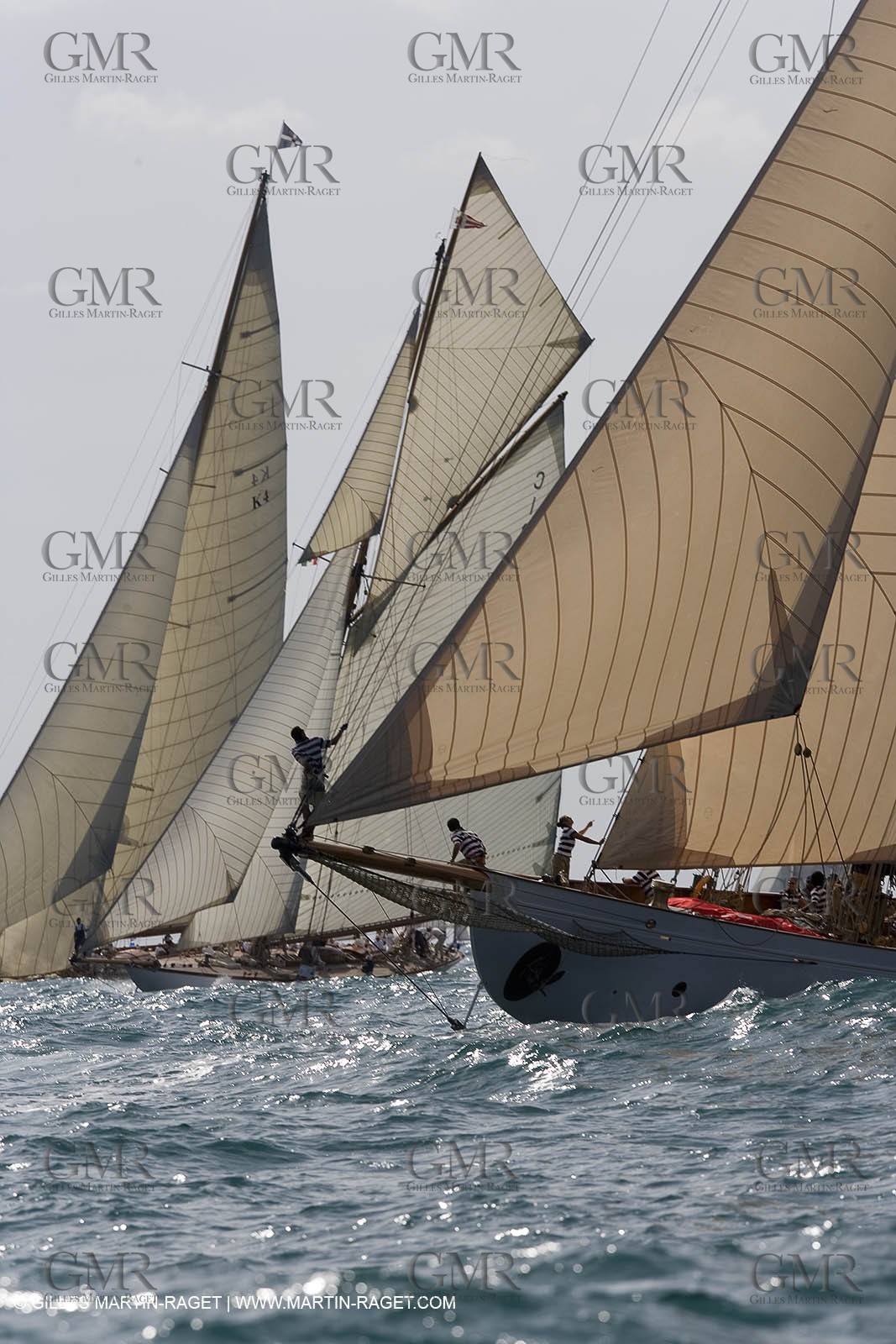 YC9H4690_1.JPG