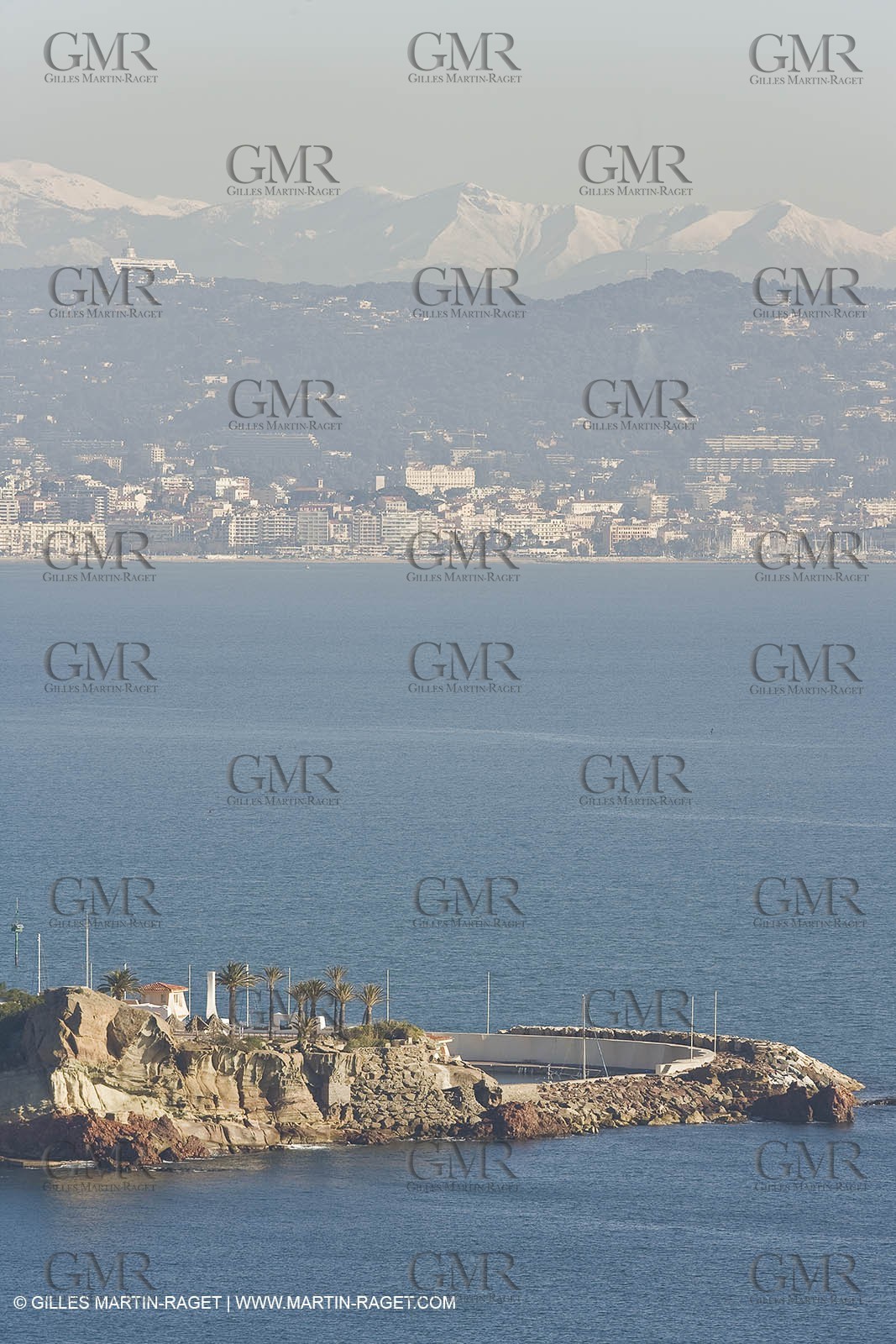 06 02 2008 - Théoule sur mer (FRA, 06) - Mimoses in full flower