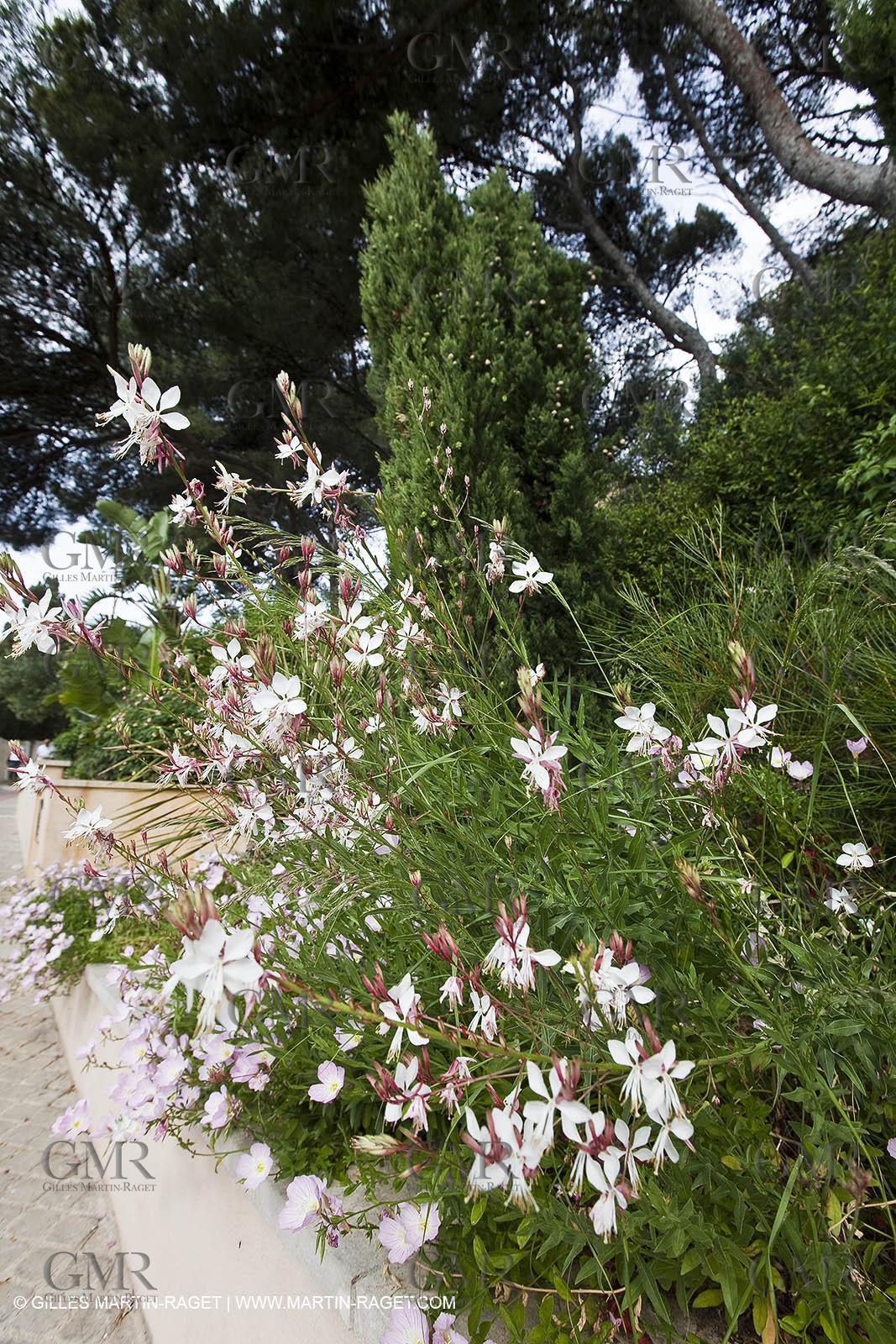 06 06 09 - Sanaray Sur Mer (FRA,83)