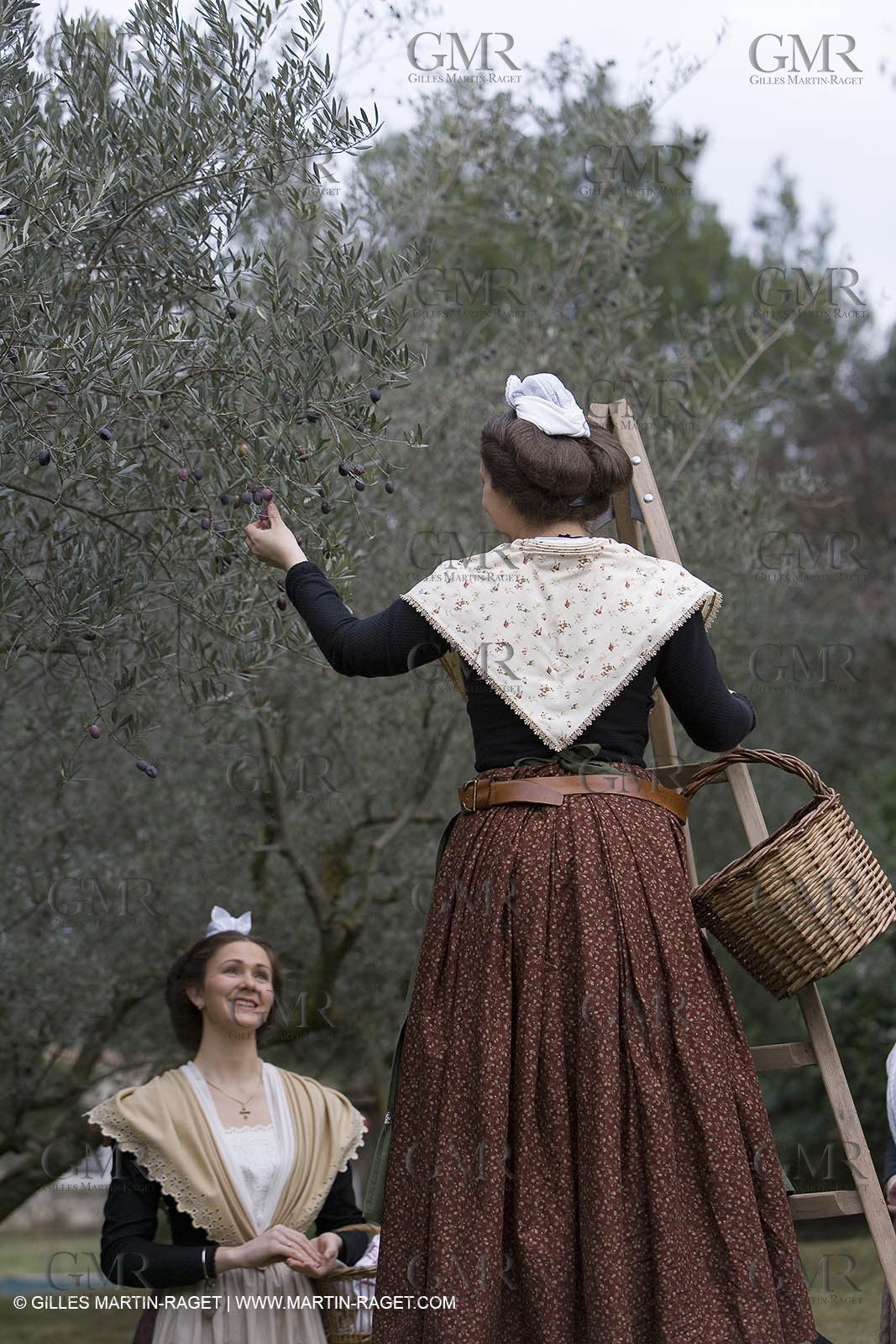 18 02 2007 - Saint Rémy de Provence - Queen of Arles in the Alpilles