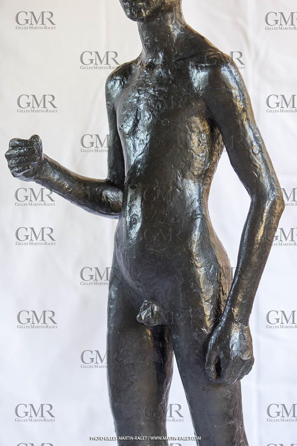 06 03 2016, Saint-Etienne du Grès (FRA,13), Oeuvre de Germaine Richier, Loretto I 1934, Bronze patiné foncé, Numéroté 4 6, fondeur Susse, Paris, 160 x 52 x 35 cm, Collection particulière