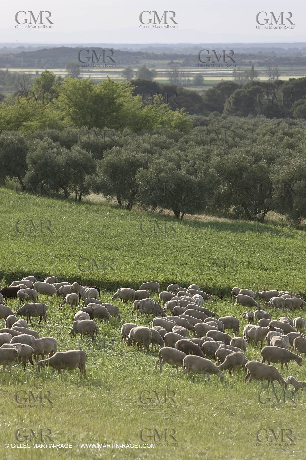 04 05 2008 - Arles (FRA,13)