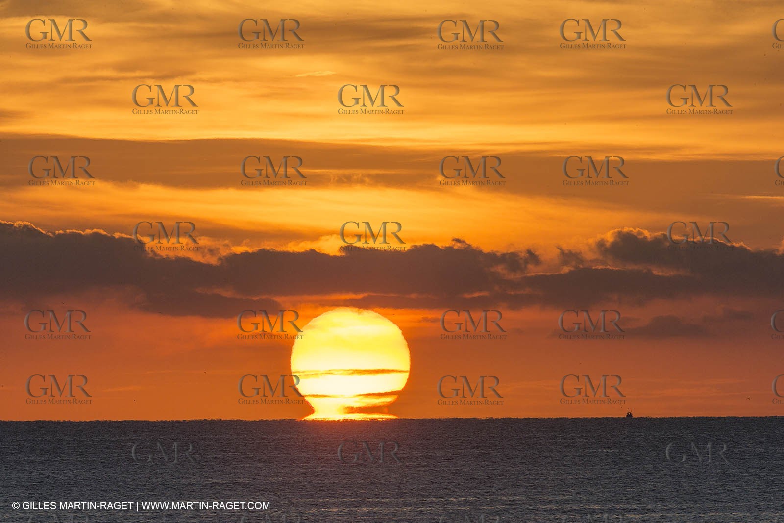 11 10 2014, Alicante (ESP), Volvo Ocean Race 2014-15, Team Alvimedica