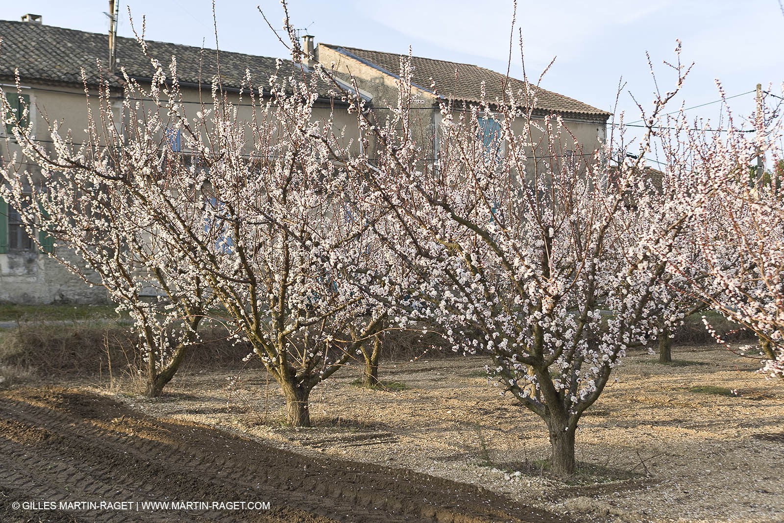 16 02 2008 - Les Baux de Provence (FRA, 13) - Alpilles hills landscapes