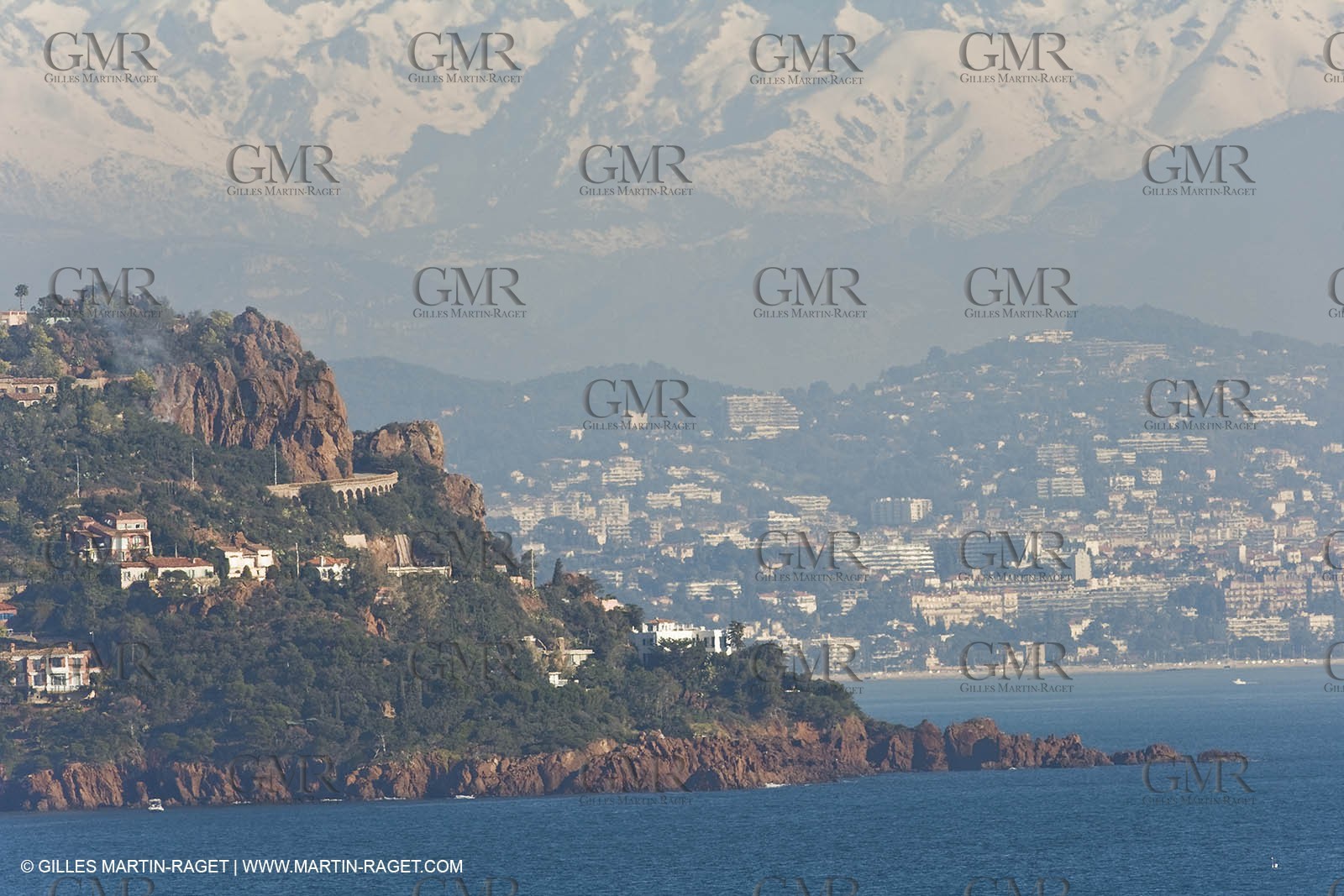 06 02 2008 - Théoule sur mer (FRA, 06) - Mimoses in full flower