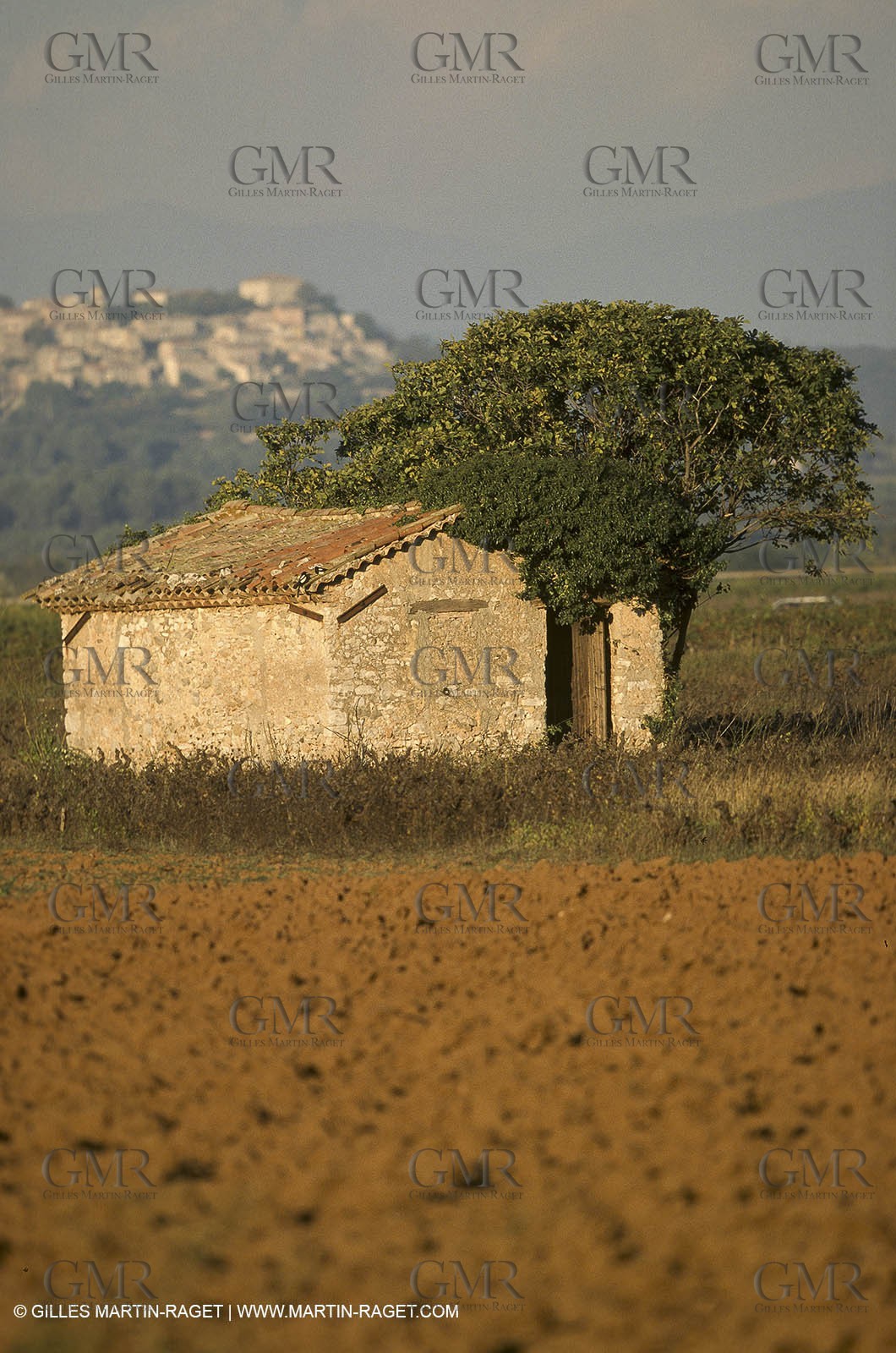 Luberon (FRA,84), Fall colors