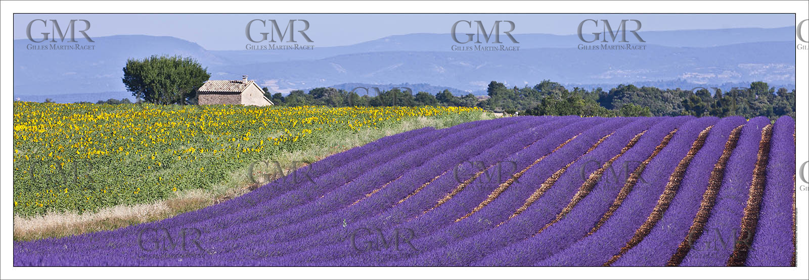 Product: in house made quality print on 8 ultrachome colors Epson ink Jet printer.Available sizes: . 20x 60 cm. 33 x 95 cm. 52 x 150 cmAvailable papers: . Standard 250 gr glossy paper print, black streak, white margin, no signature. Top quality glossy 290 gr. paper, black streak, white margin, checked and signed by the author. Fine Art print (signed, numbered, stamped, registered) on demand. Other supports (Canvas, Acrylic, Metal) on demandPackaging: cylindric reinforced tubeShipping options: regular mail or Shipping companyClick on the basket icon to select your options and start the online ordering process