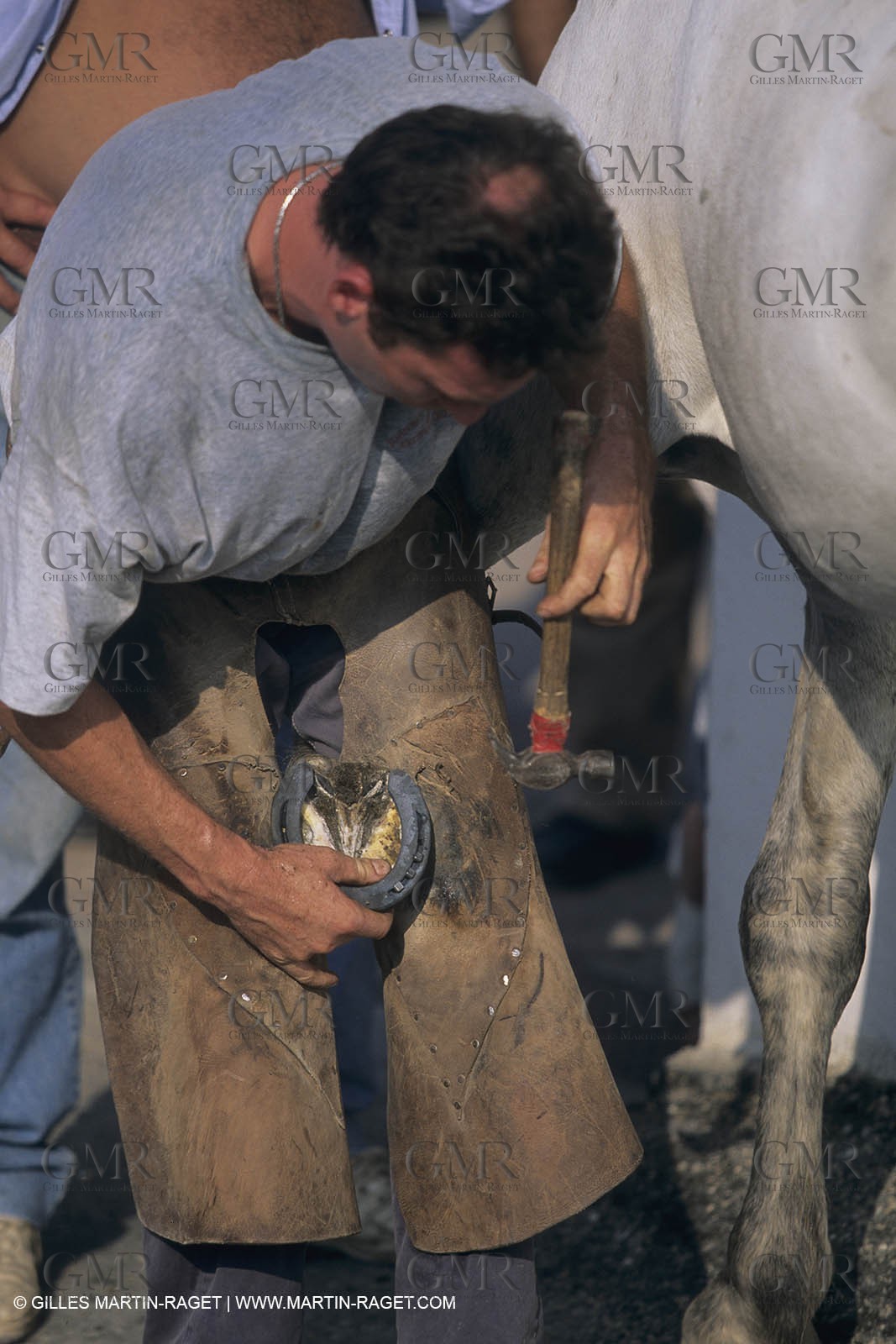 France, Provence, Camargue, Gardians de Camargue, métier, fêtes, élevage, tri