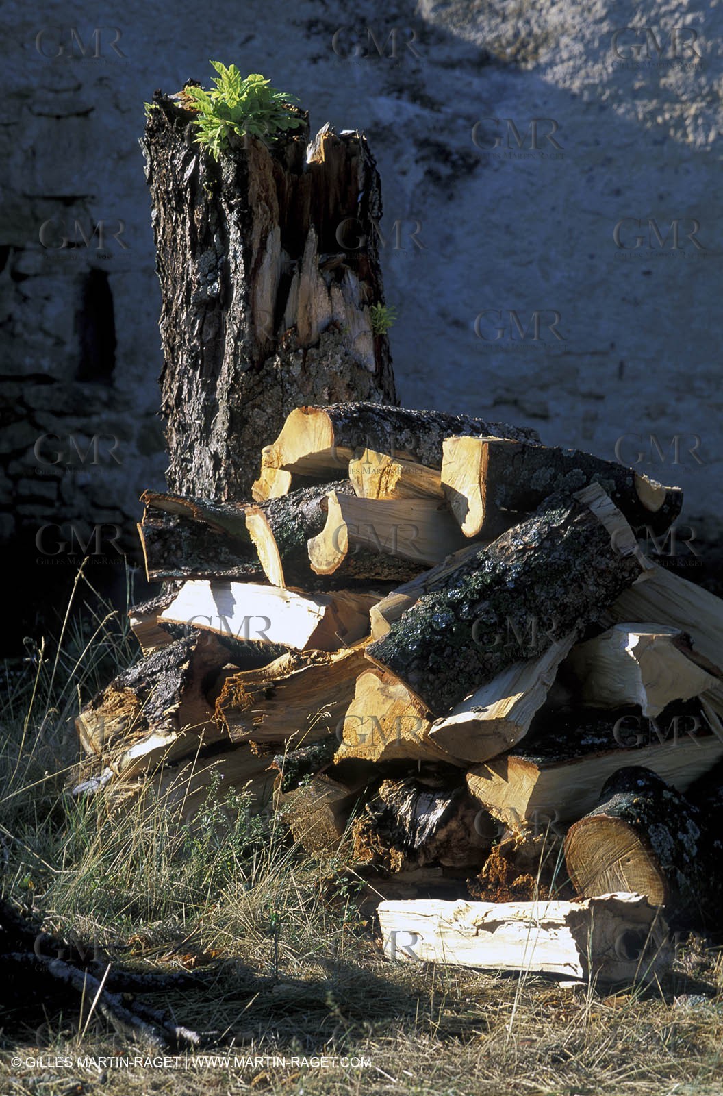 wood