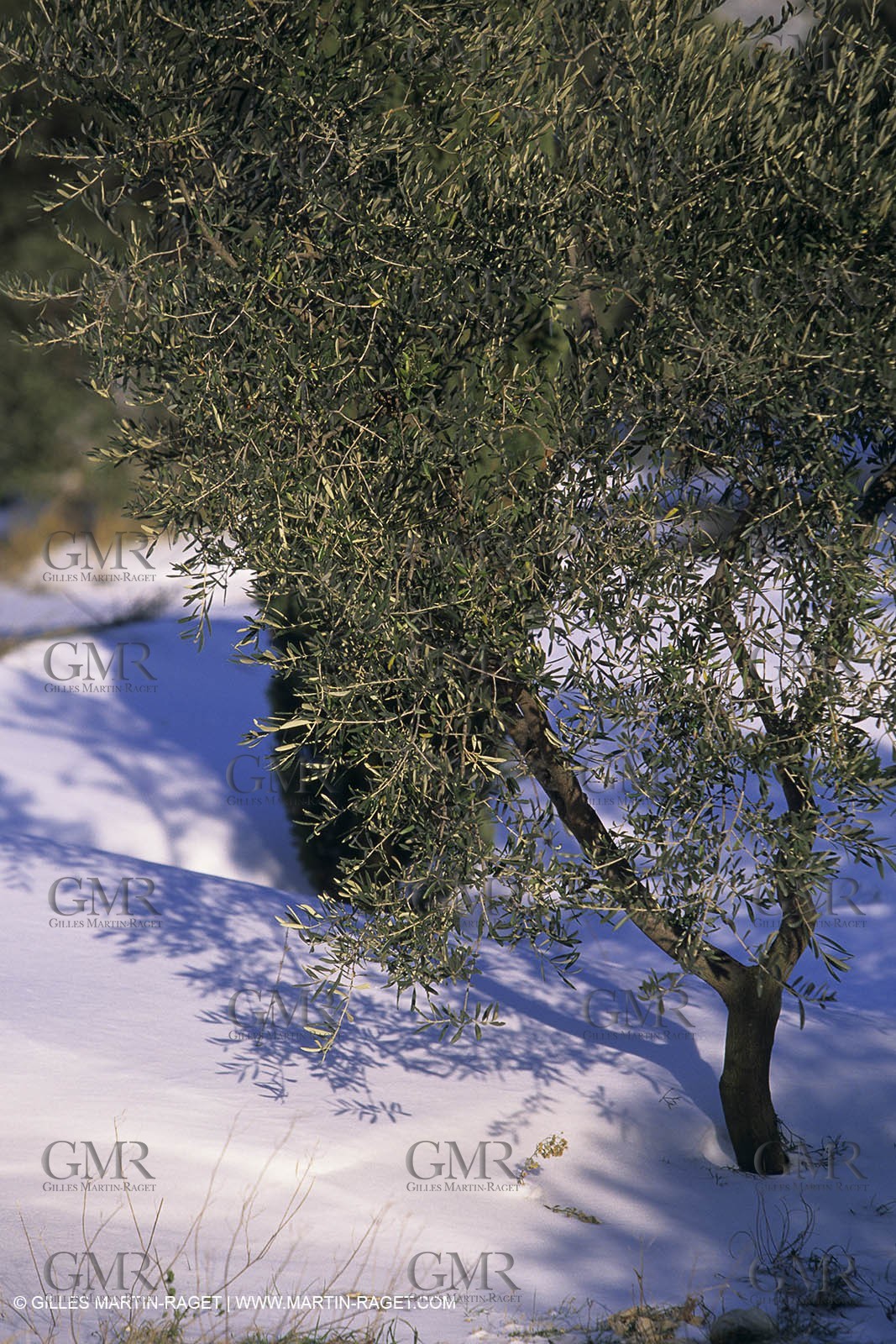 Provence under snow - Baux ed Provence