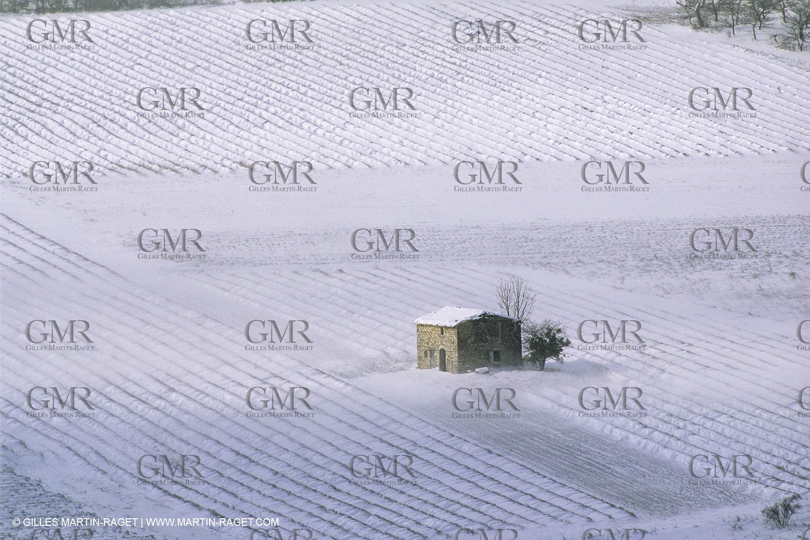 France, Provence, Neige en hiver   Snow in Provence