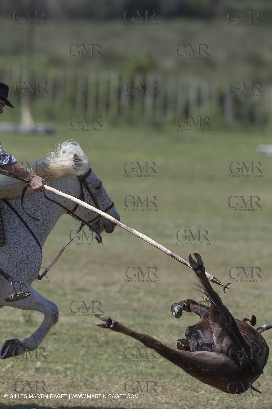 Course de Satin 2014 - Arles (FRA,13) - 1 06 2014**The satin race - Arles (FRA,13) - 01 06 2014