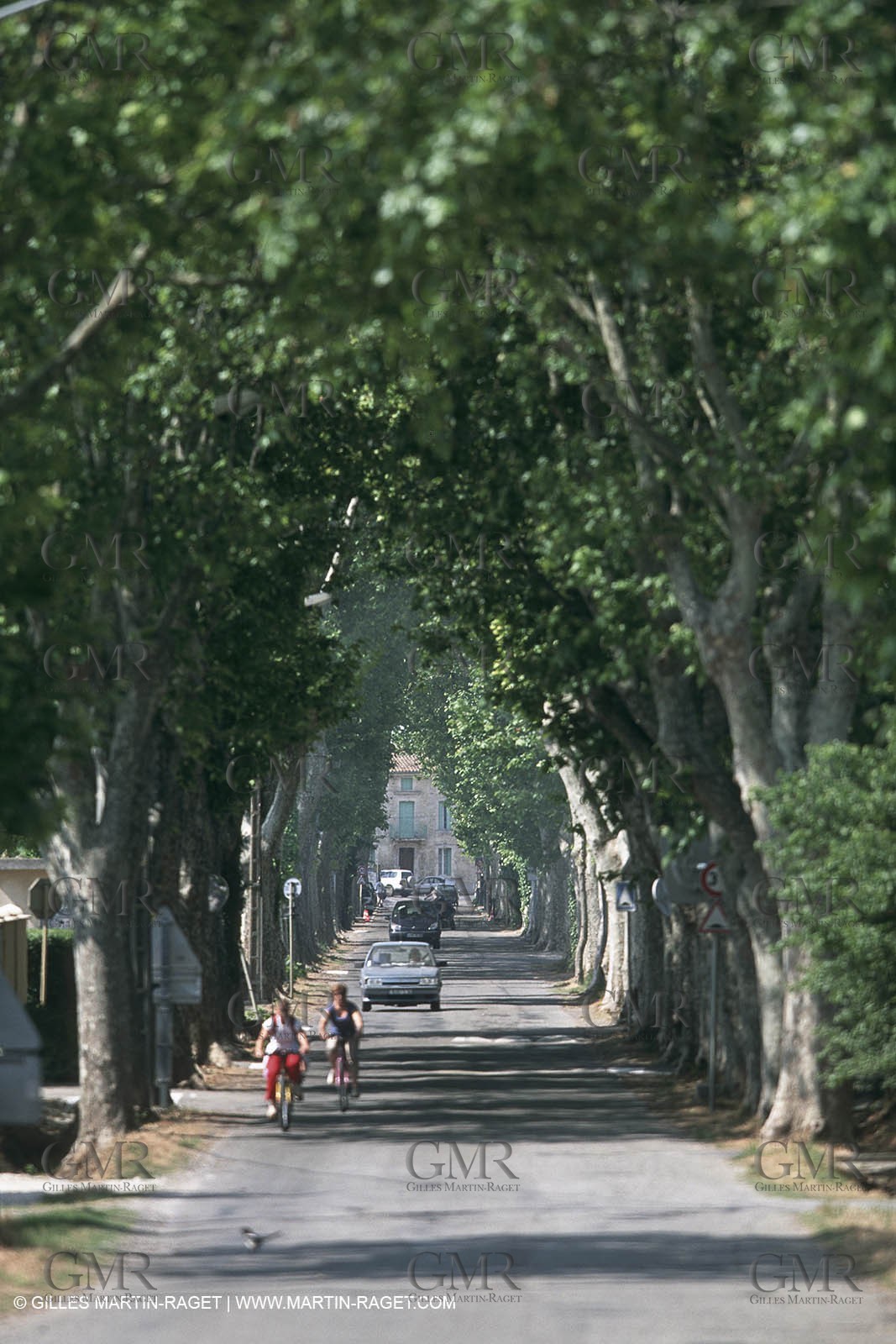 costieres_plaine0126.jpg