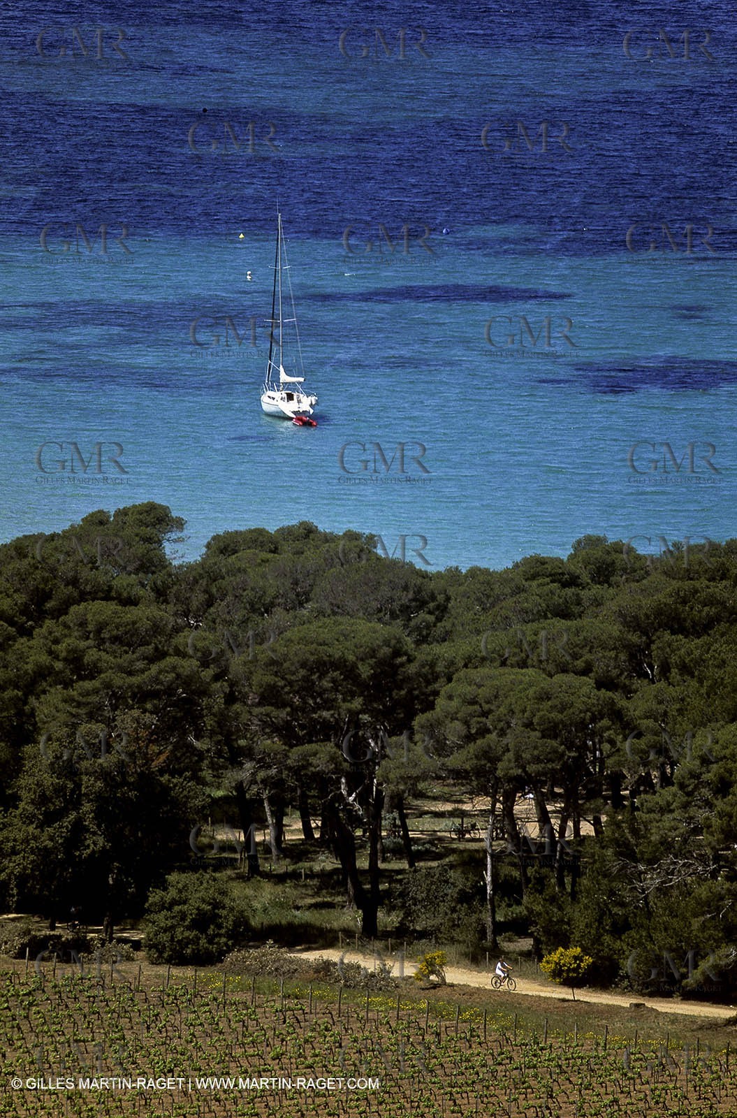 France - Var - 83 - Hyeres islands - Porquerolles