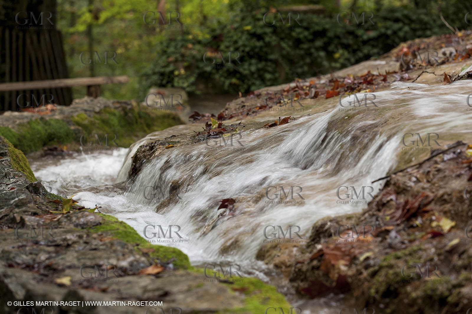 23 10 2012 - Gemenos (FRA) - Parc Départemental de la vallée de Saint Pons