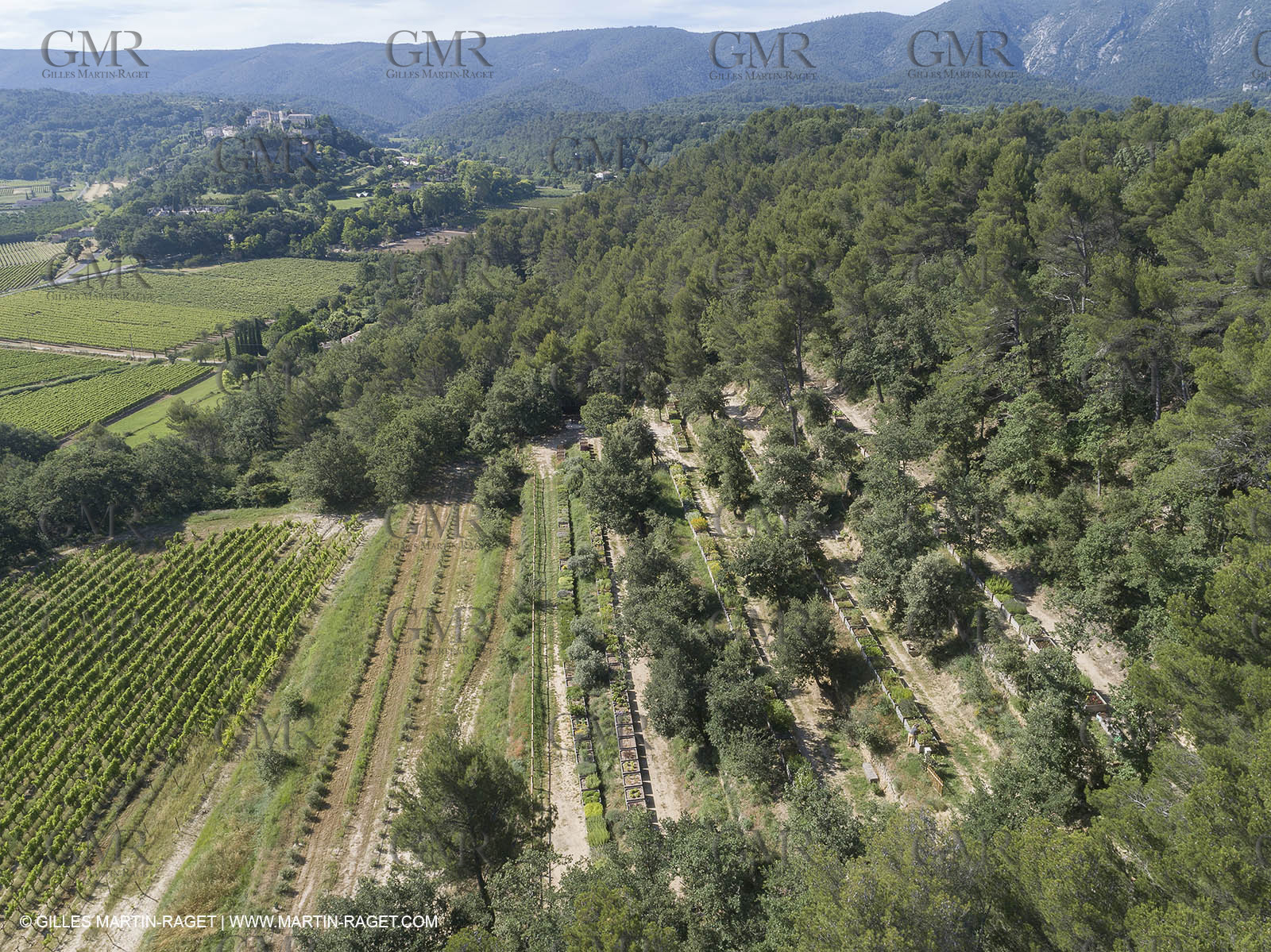 22 06 2018, Ménerbes (FRA,84), Domaine de la Citadelle